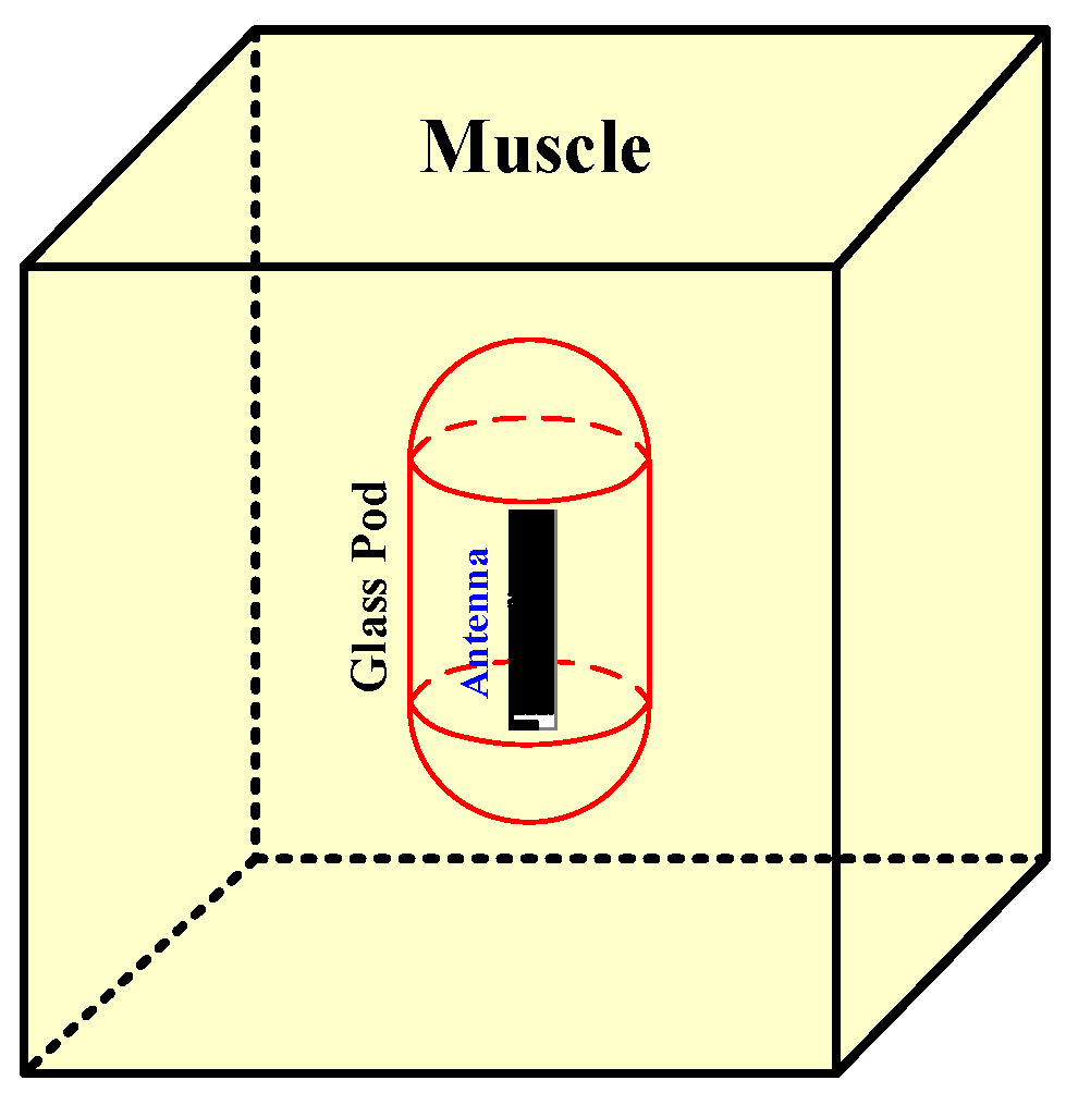 Sensors 21 03897 g003