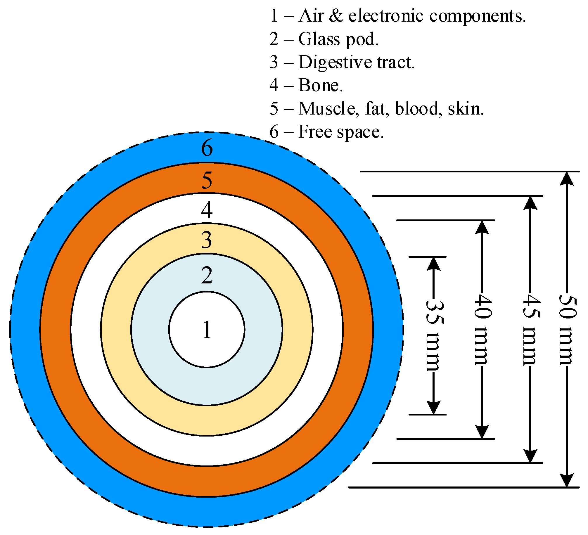 Sensors 21 03897 g007