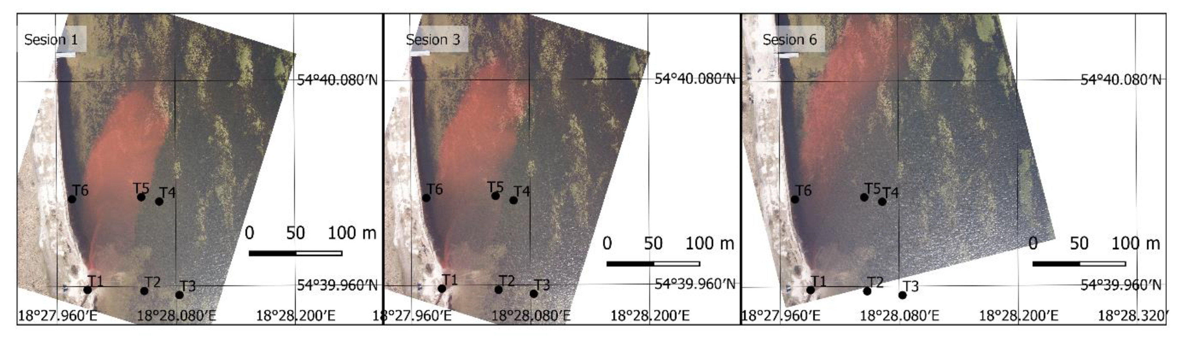 Sensors 21 03905 g007