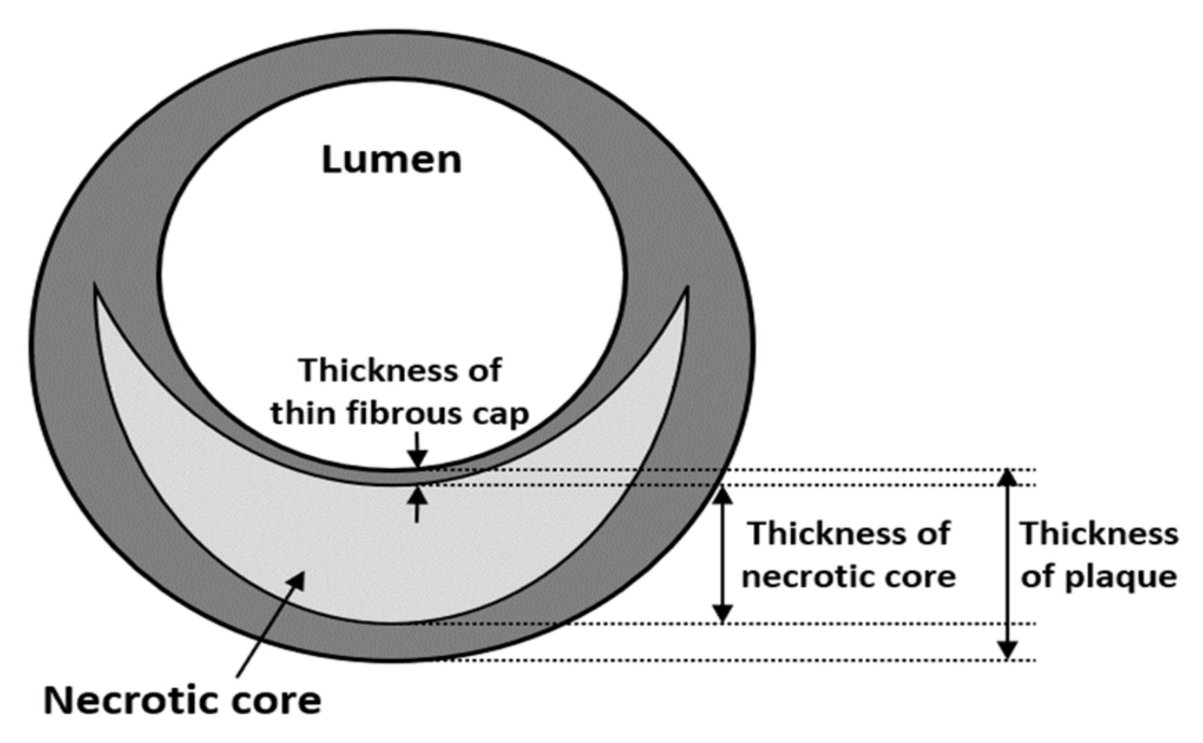 Sensors 21 03907 g003