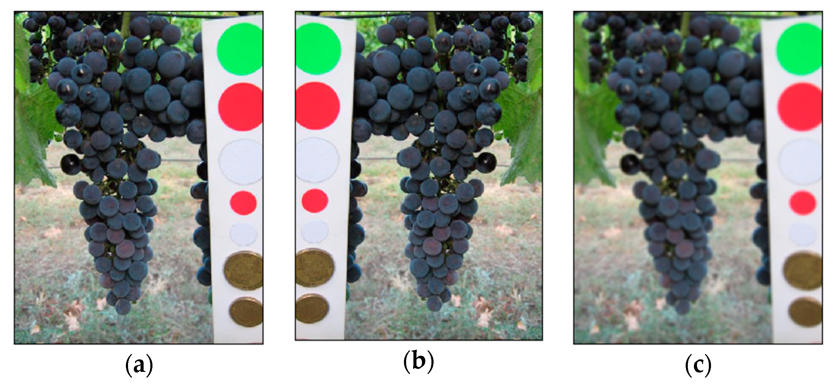 Sensors 21 03908 g006