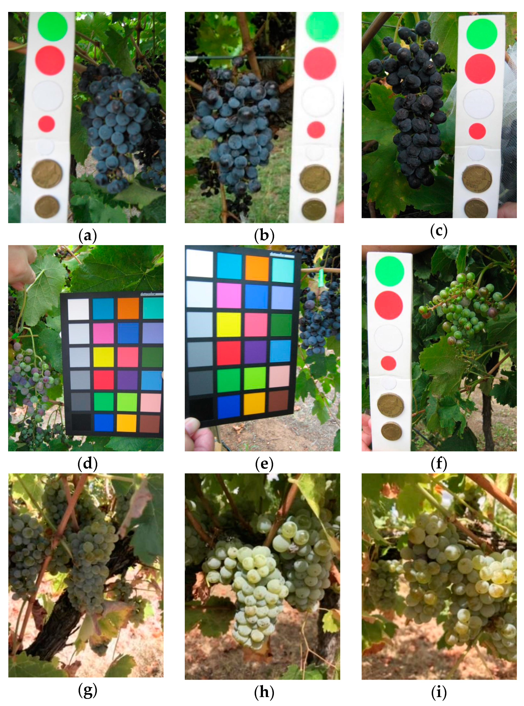 Sensors 21 03908 g011