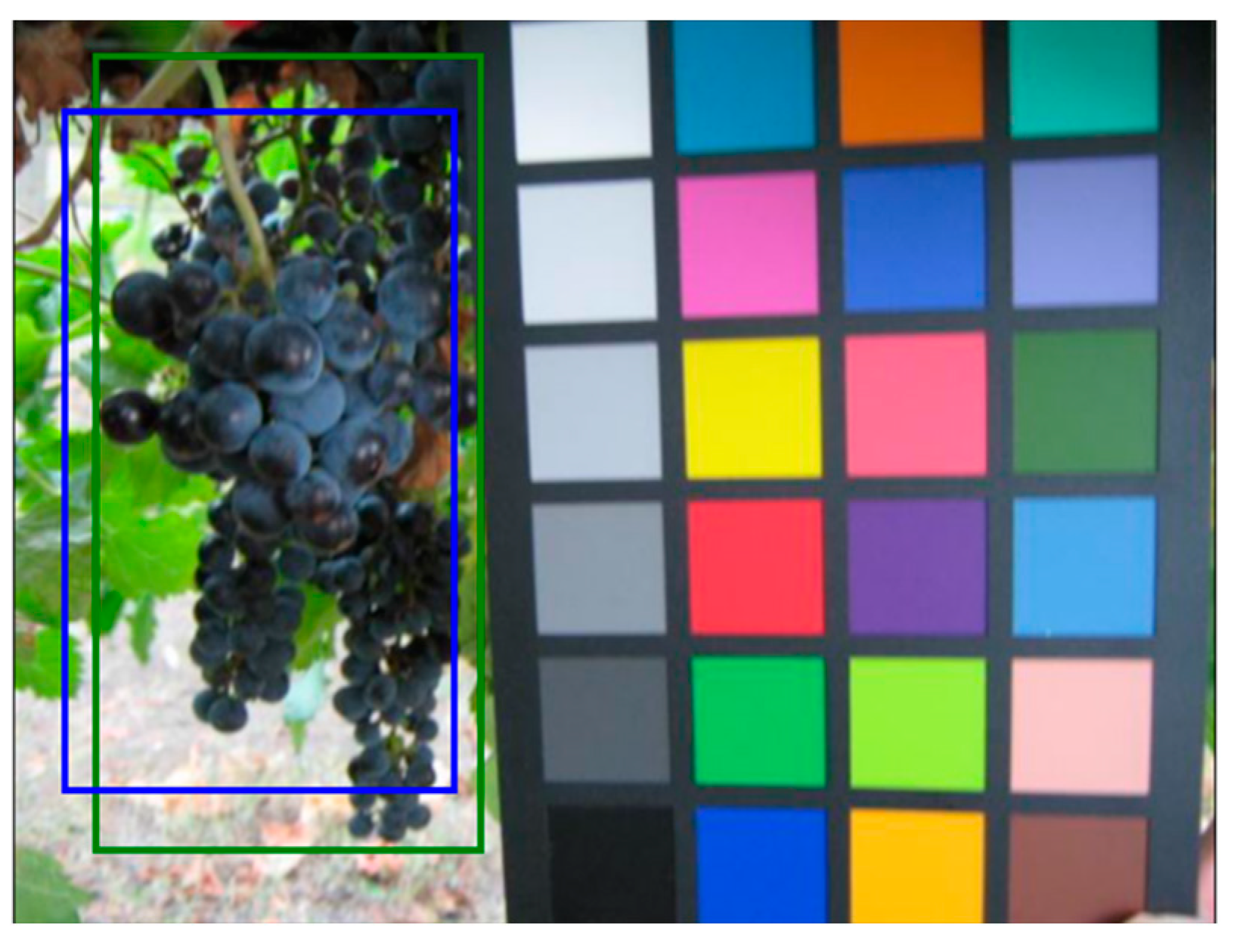 Sensors 21 03908 g012