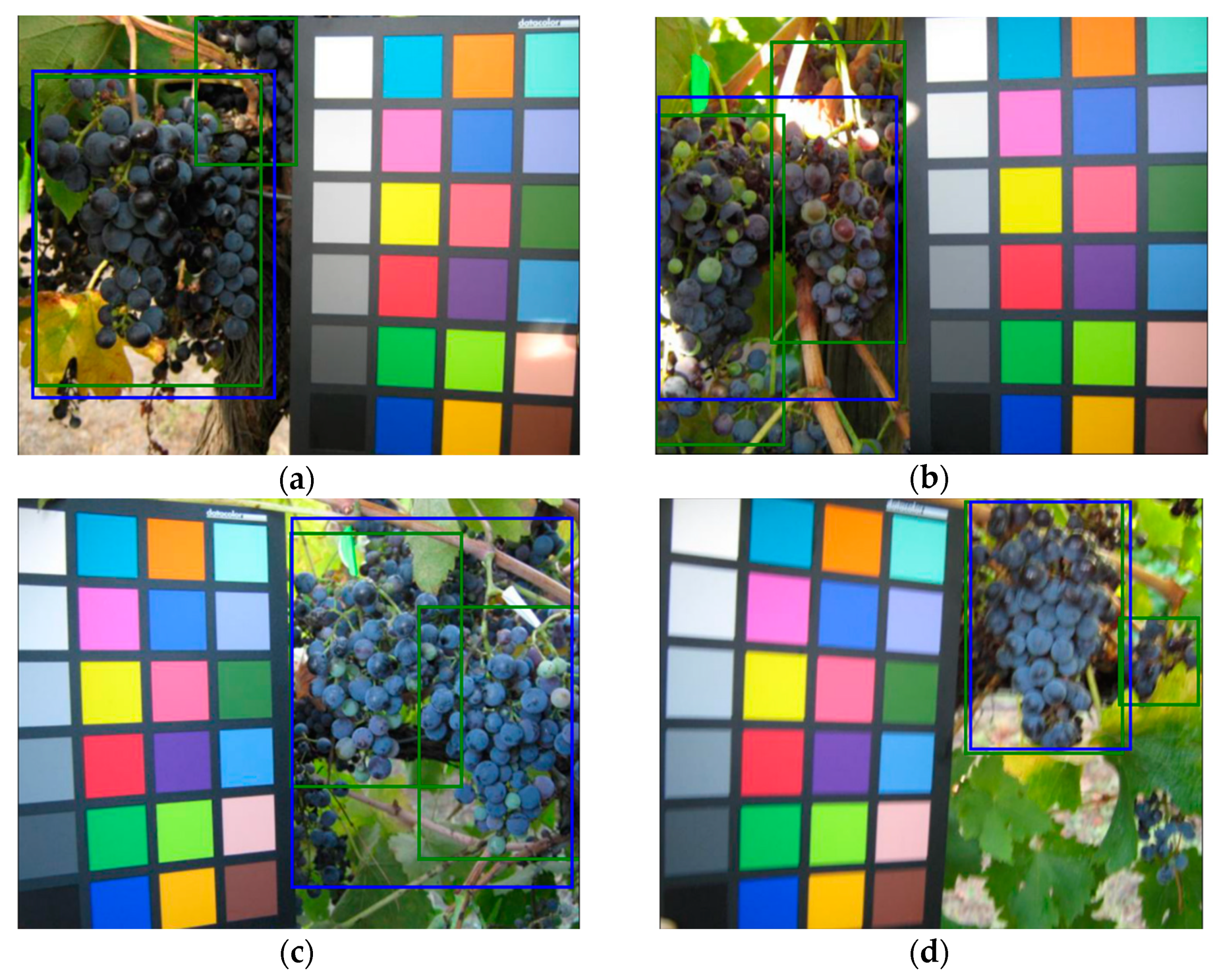 Sensors 21 03908 g013