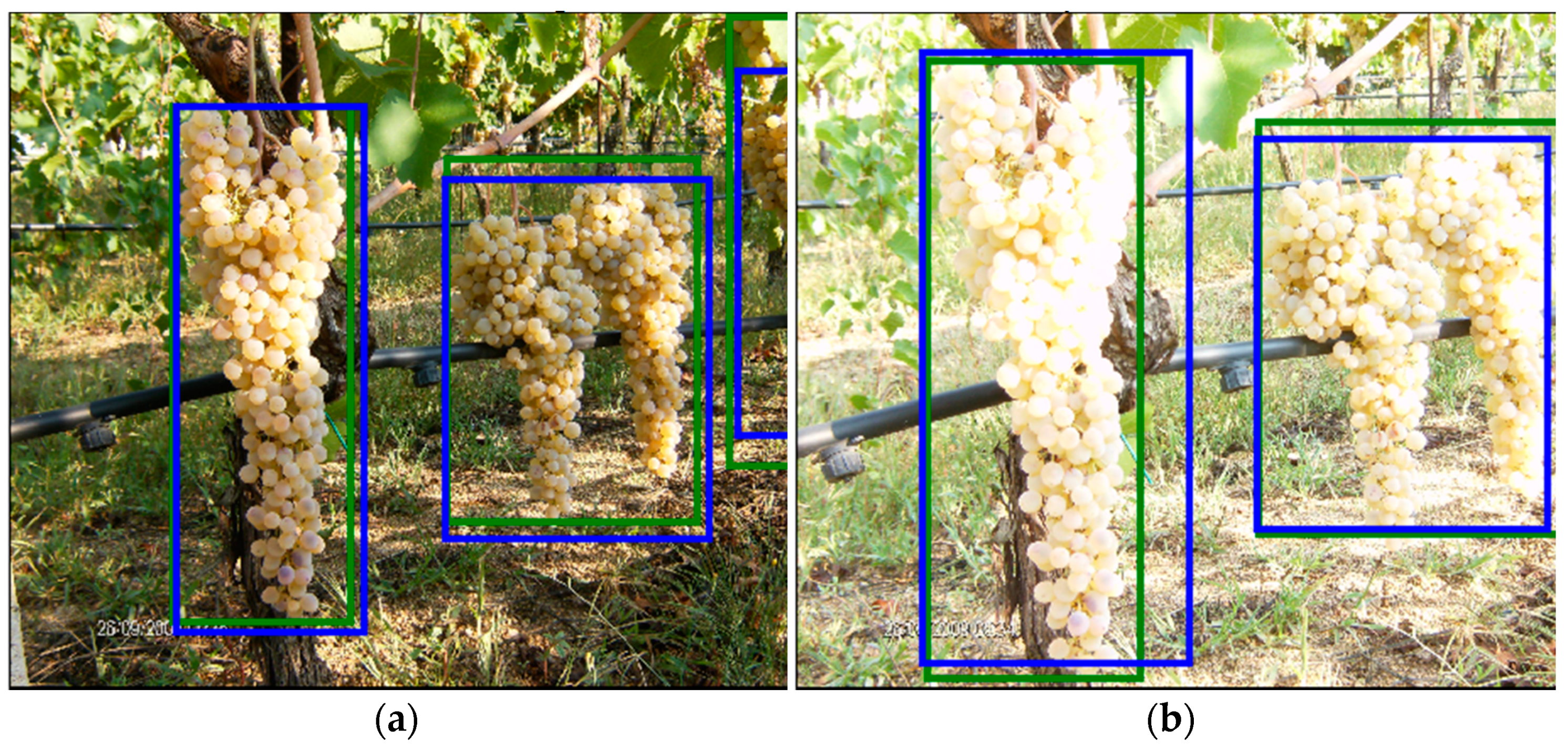 Sensors 21 03908 g015