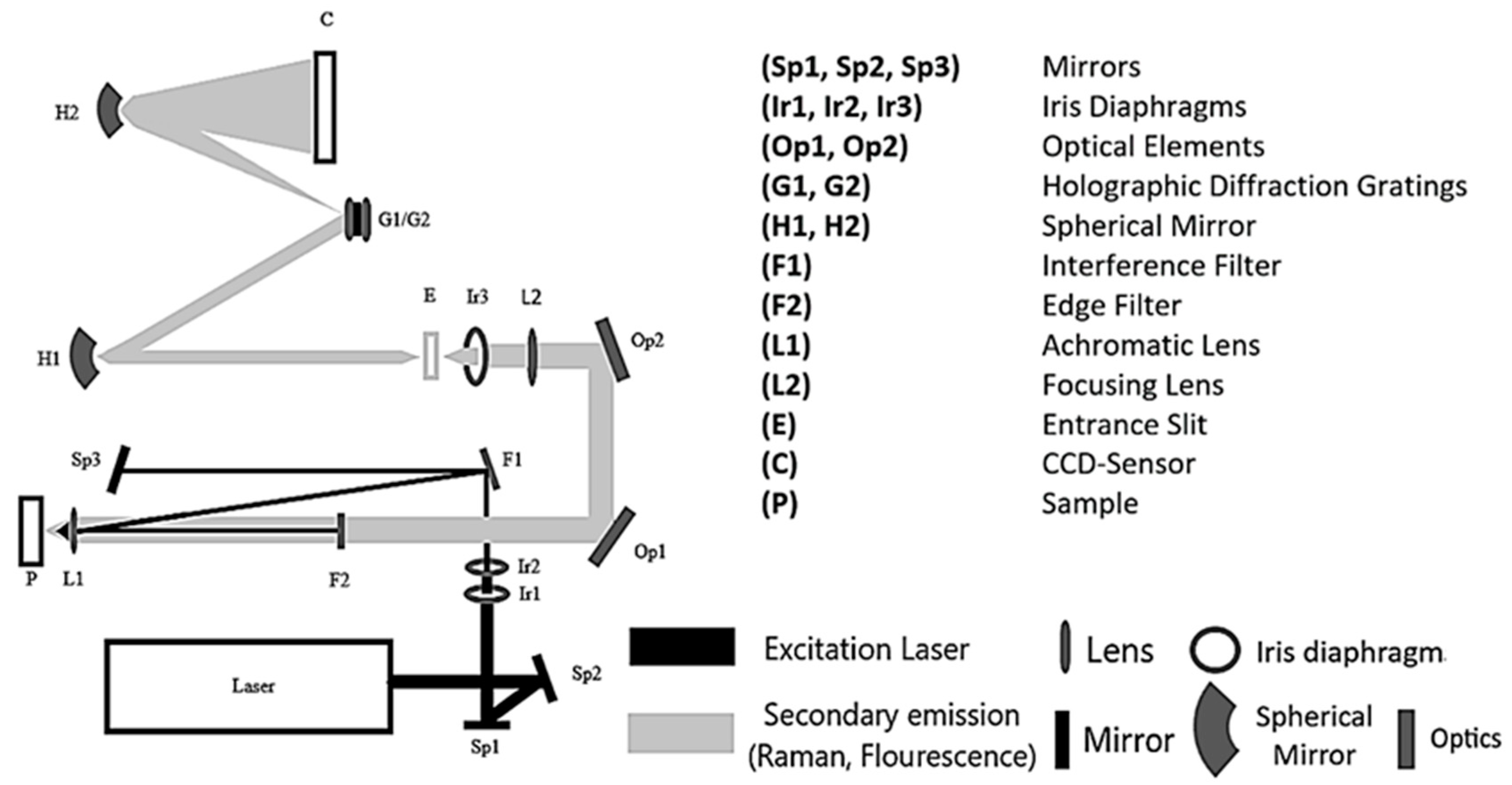 Sensors 21 03911 g001