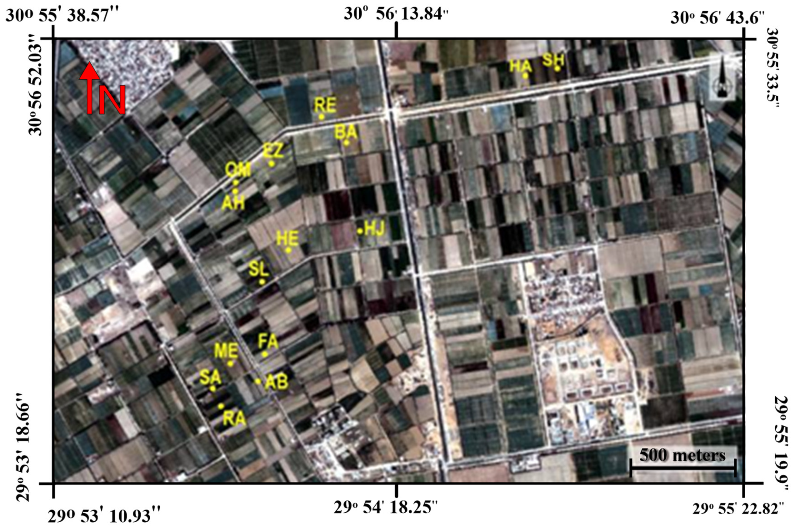 Sensors 21 03915 g001