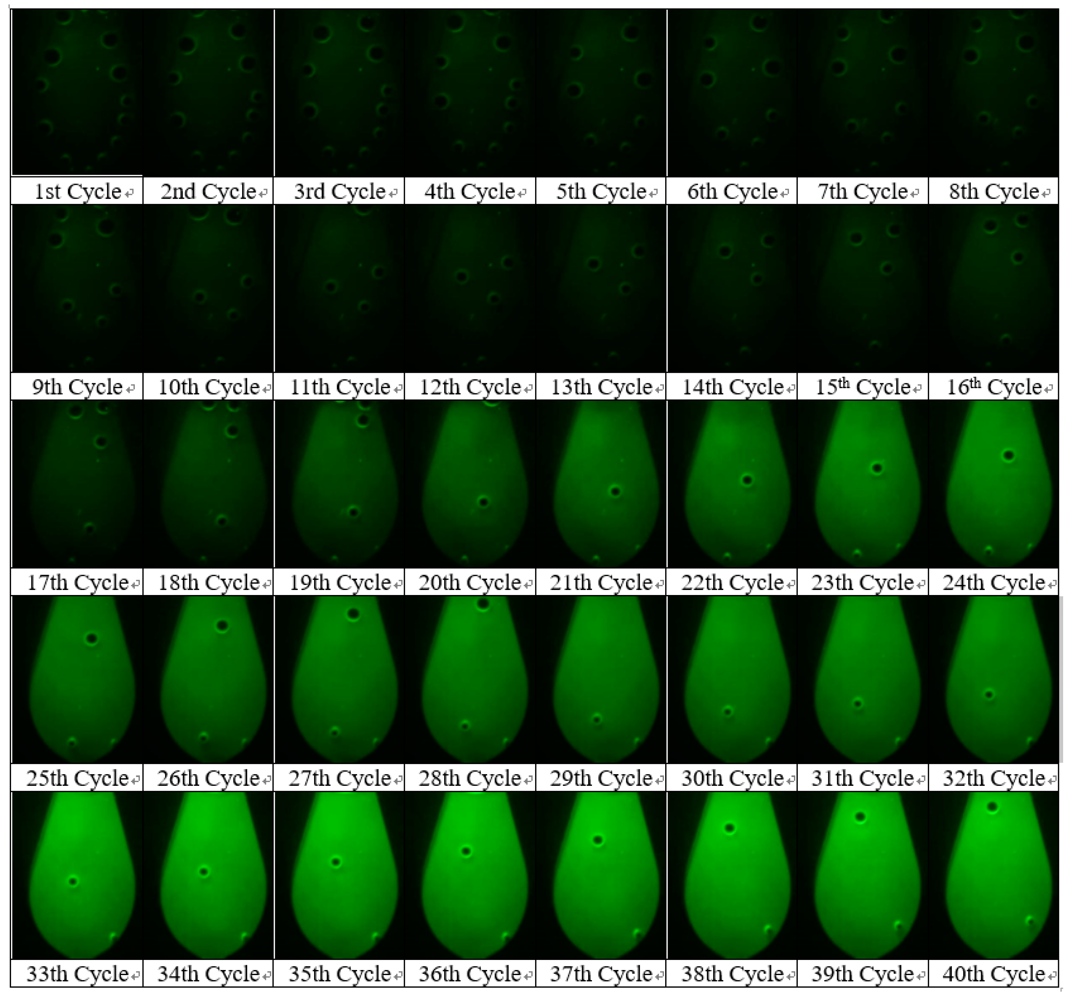 Sensors 21 03917 g005