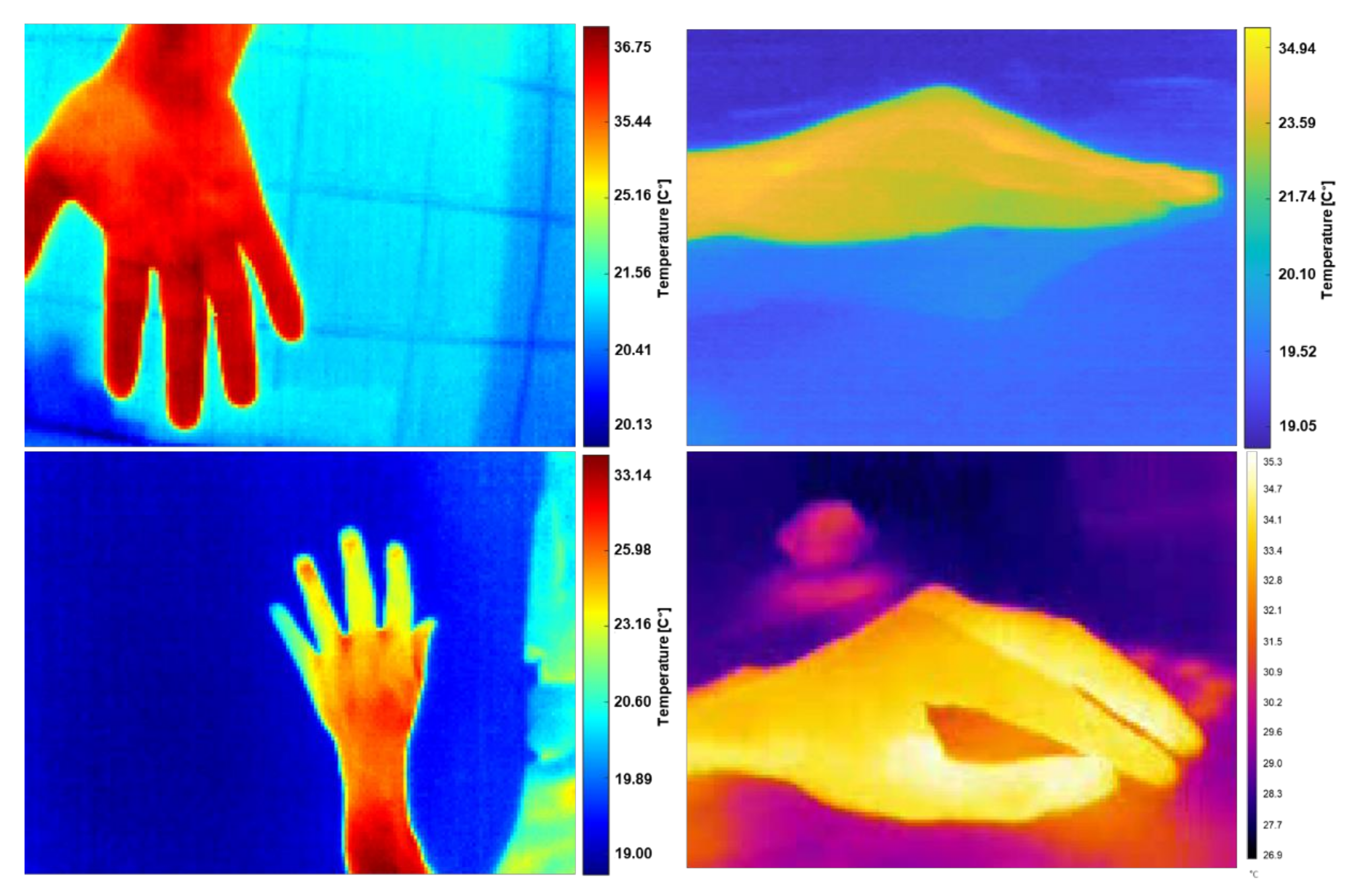 Sensors 21 03918 g011