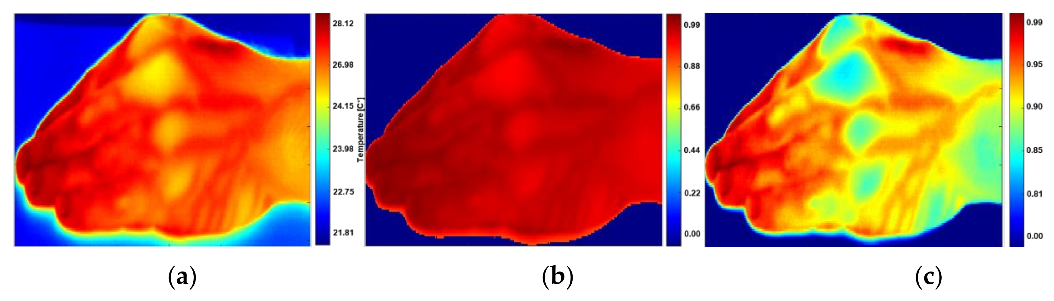 Sensors 21 03918 g013