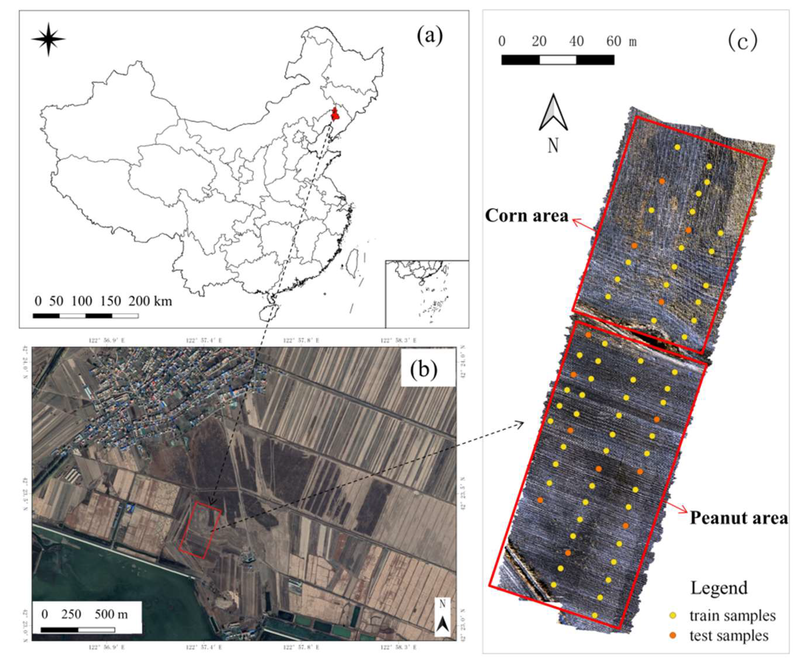 Sensors 21 03919 g001