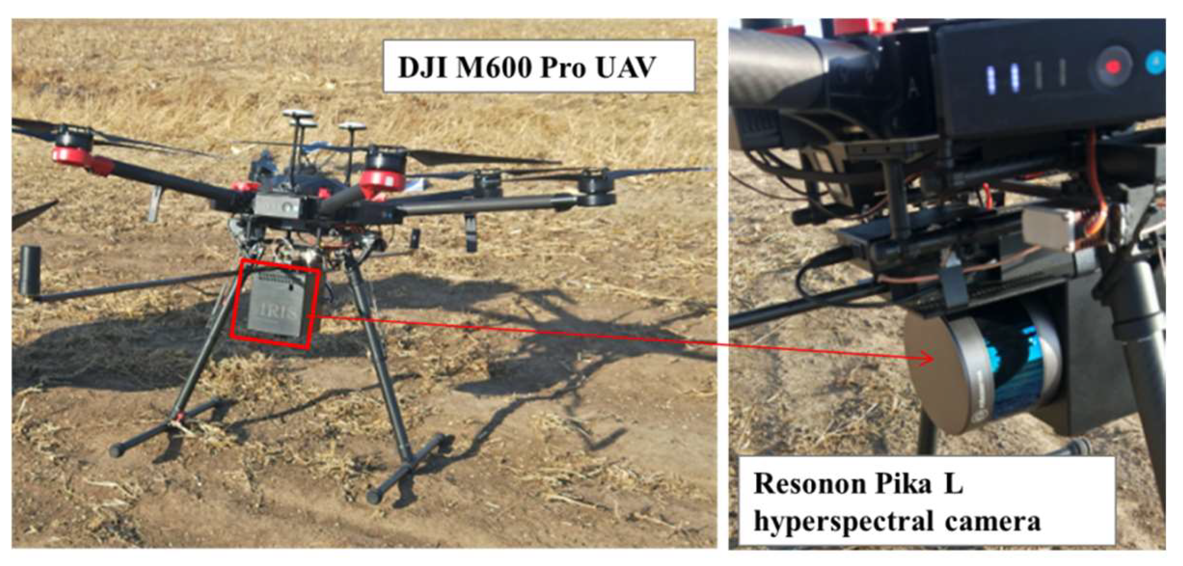 Sensors 21 03919 g003