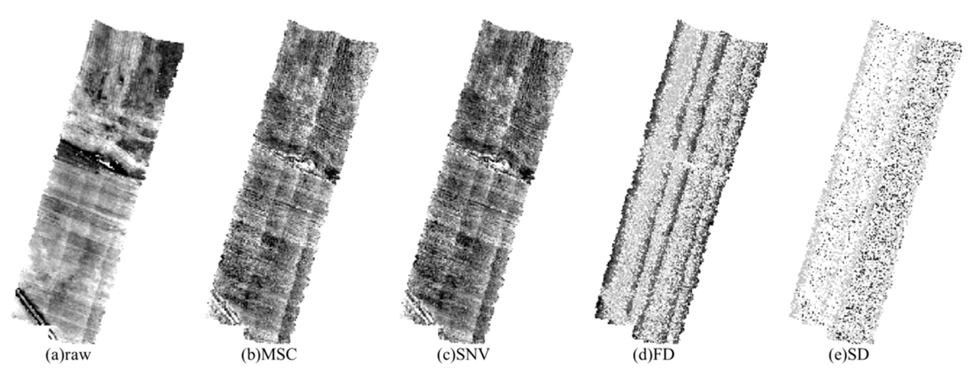Sensors 21 03919 g006