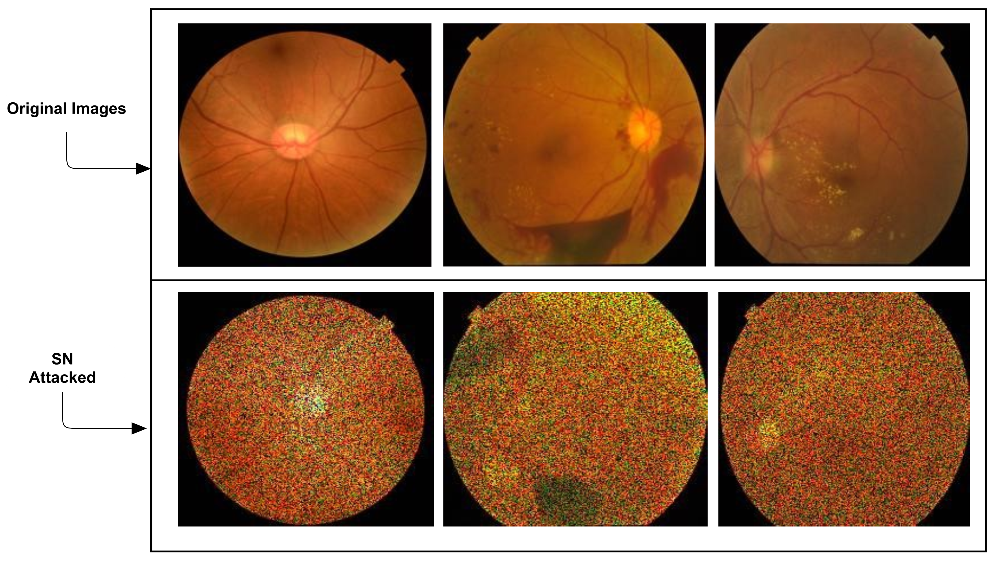 Sensors 21 03922 g003 Sensors 21 03922 g003