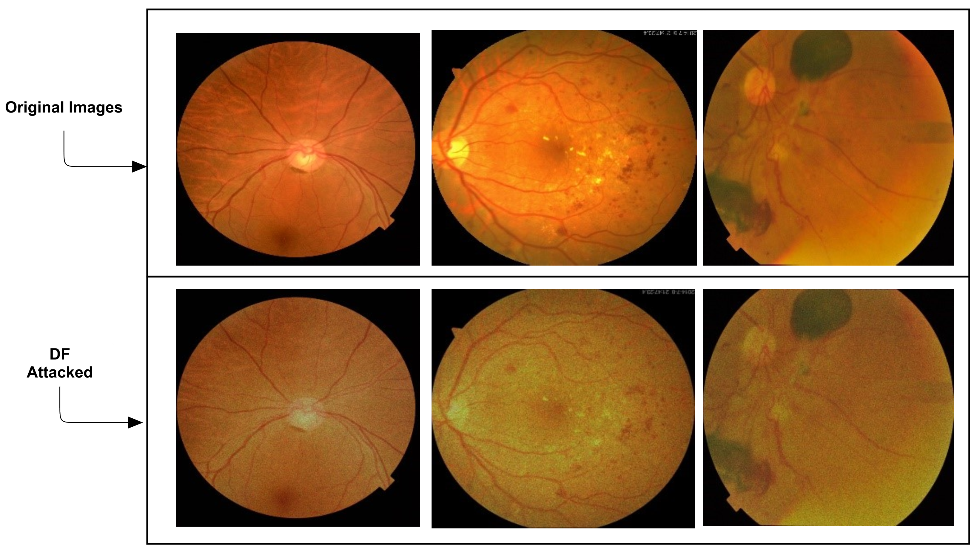 Sensors 21 03922 g004 Sensors 21 03922 g004