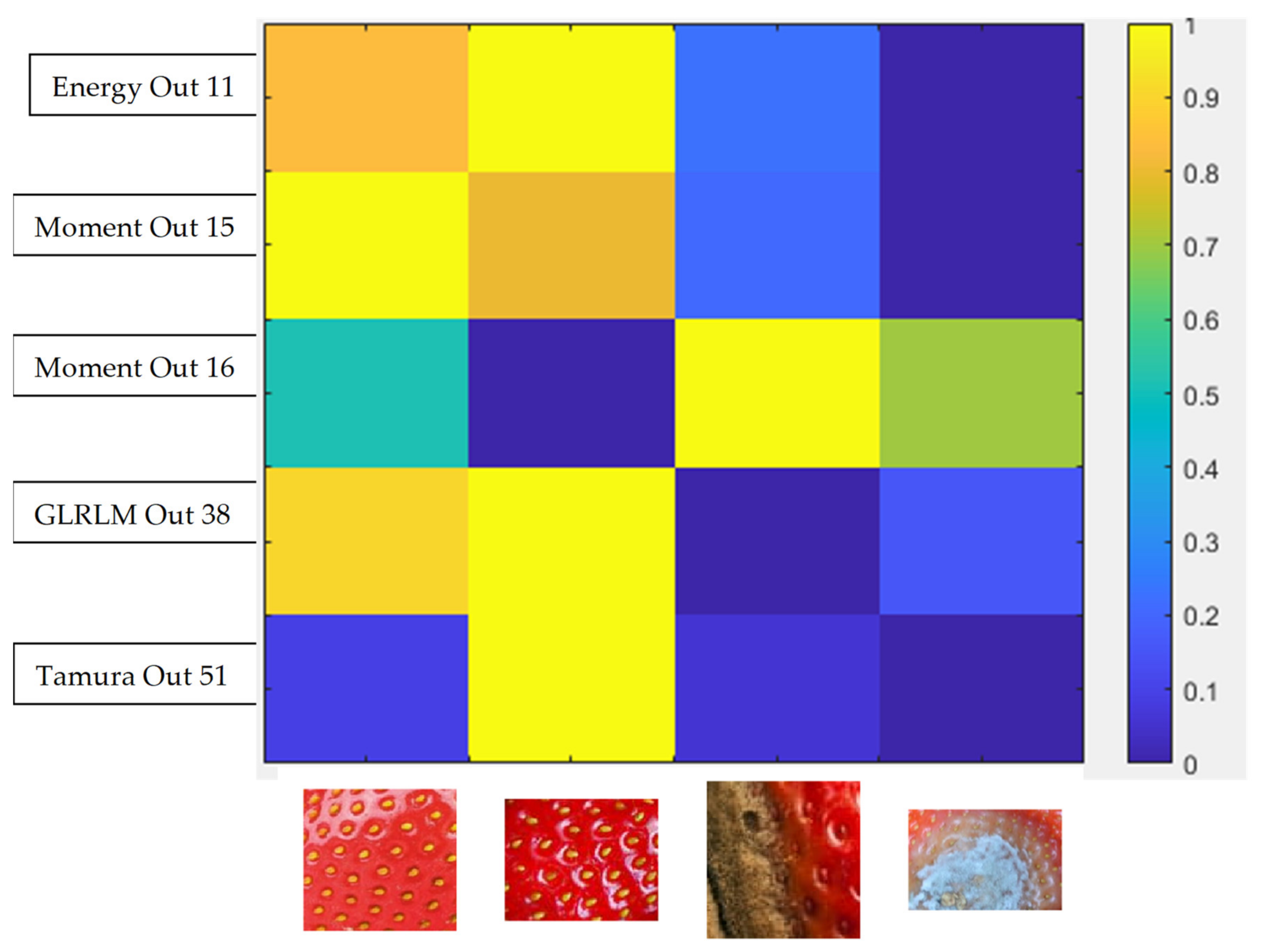 Sensors 21 03933 g004