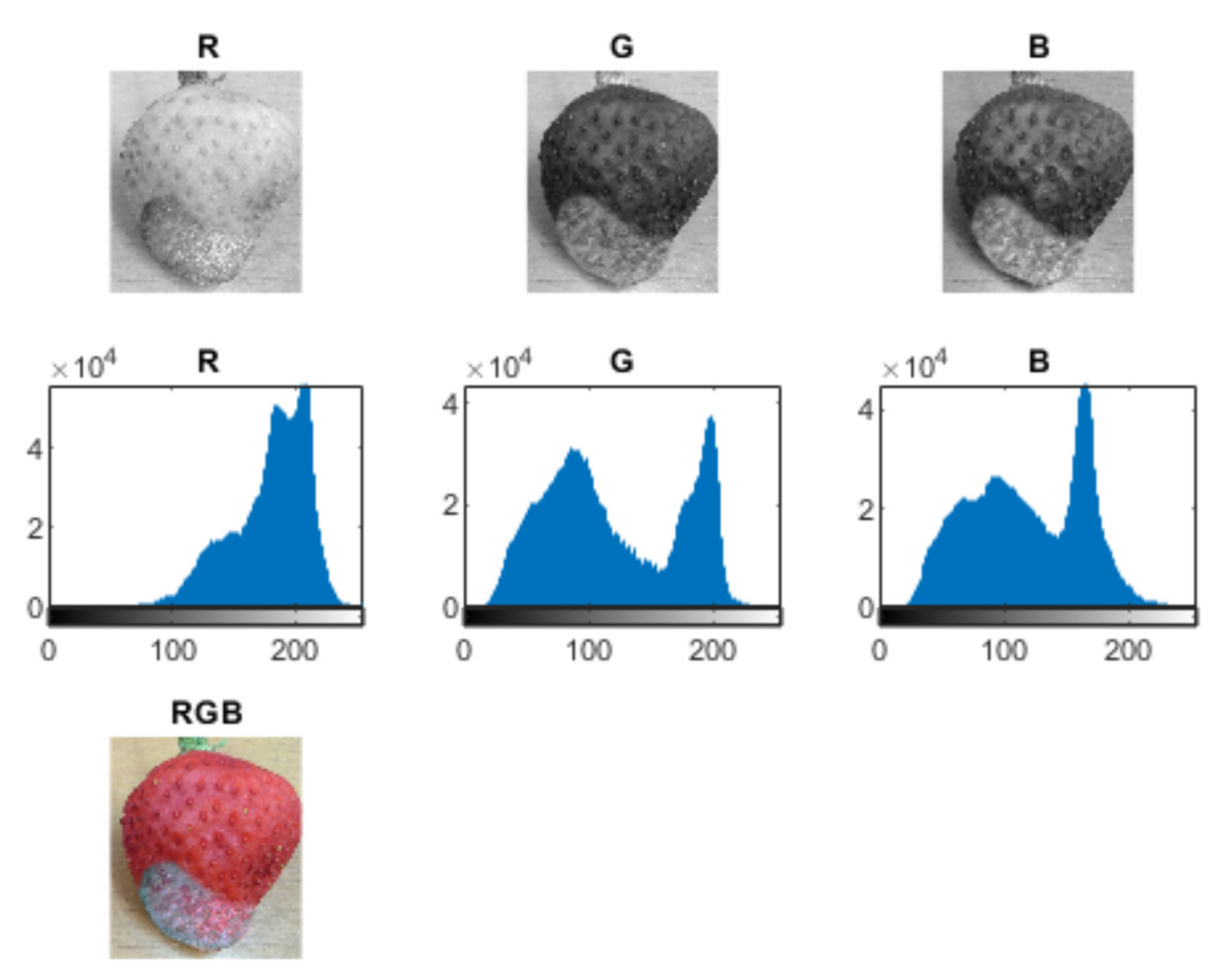Sensors 21 03933 g006