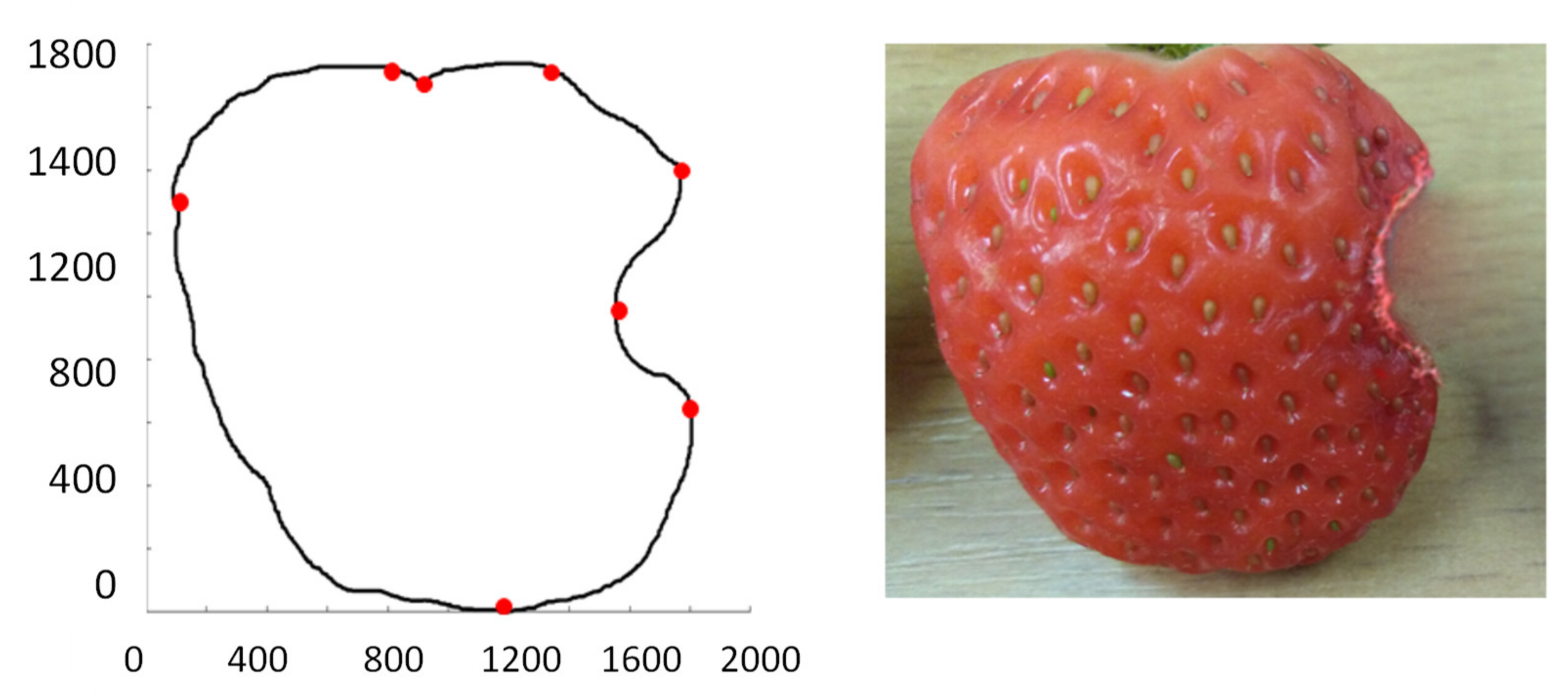 Sensors 21 03933 g007