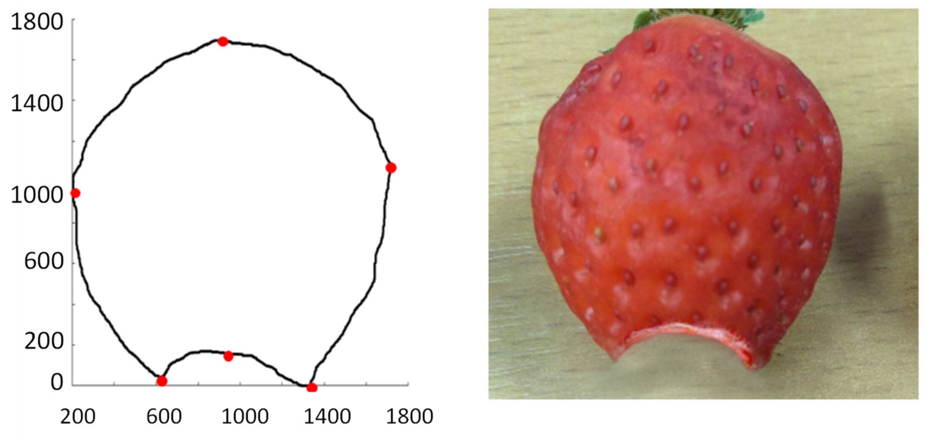 Sensors 21 03933 g008