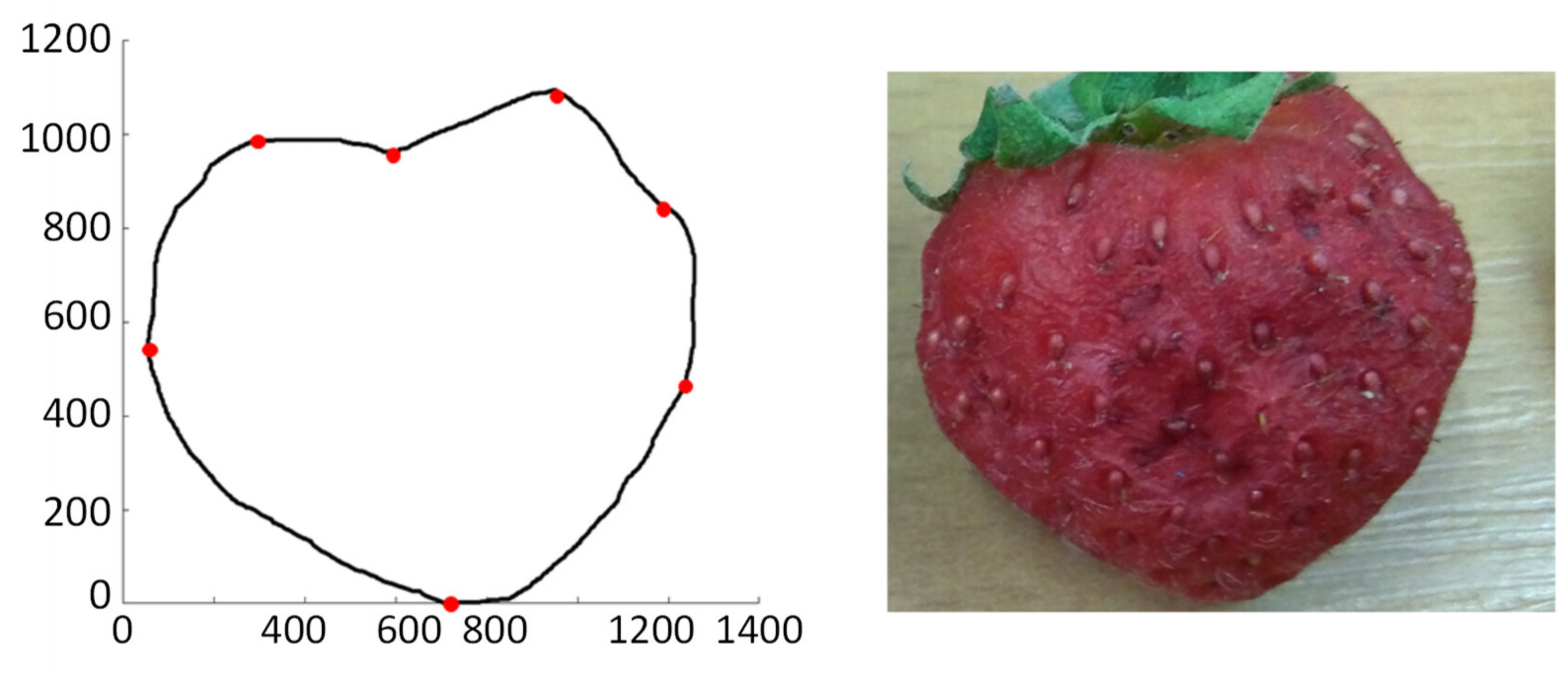 Sensors 21 03933 g010