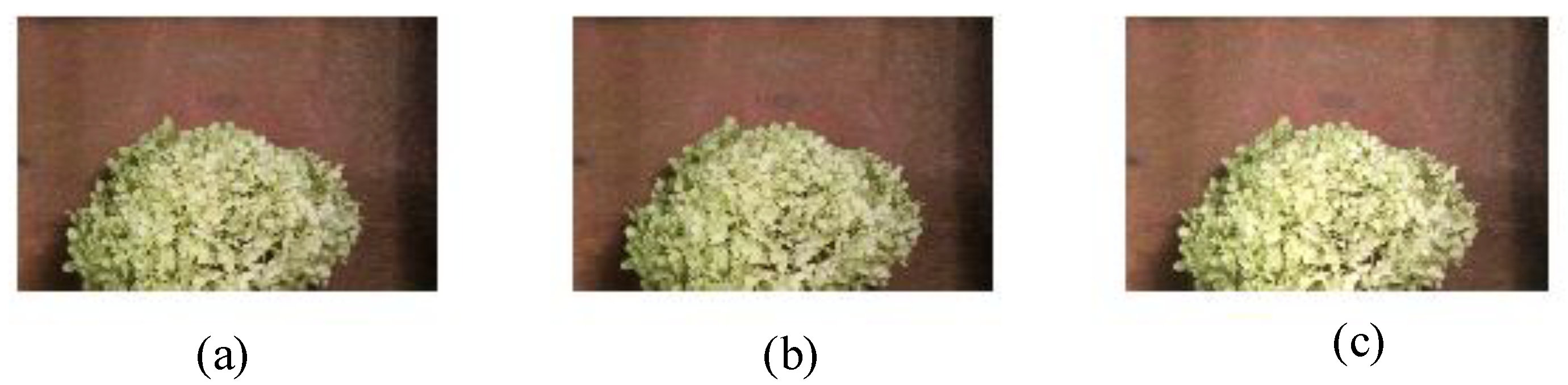 Sensors 21 03953 g004