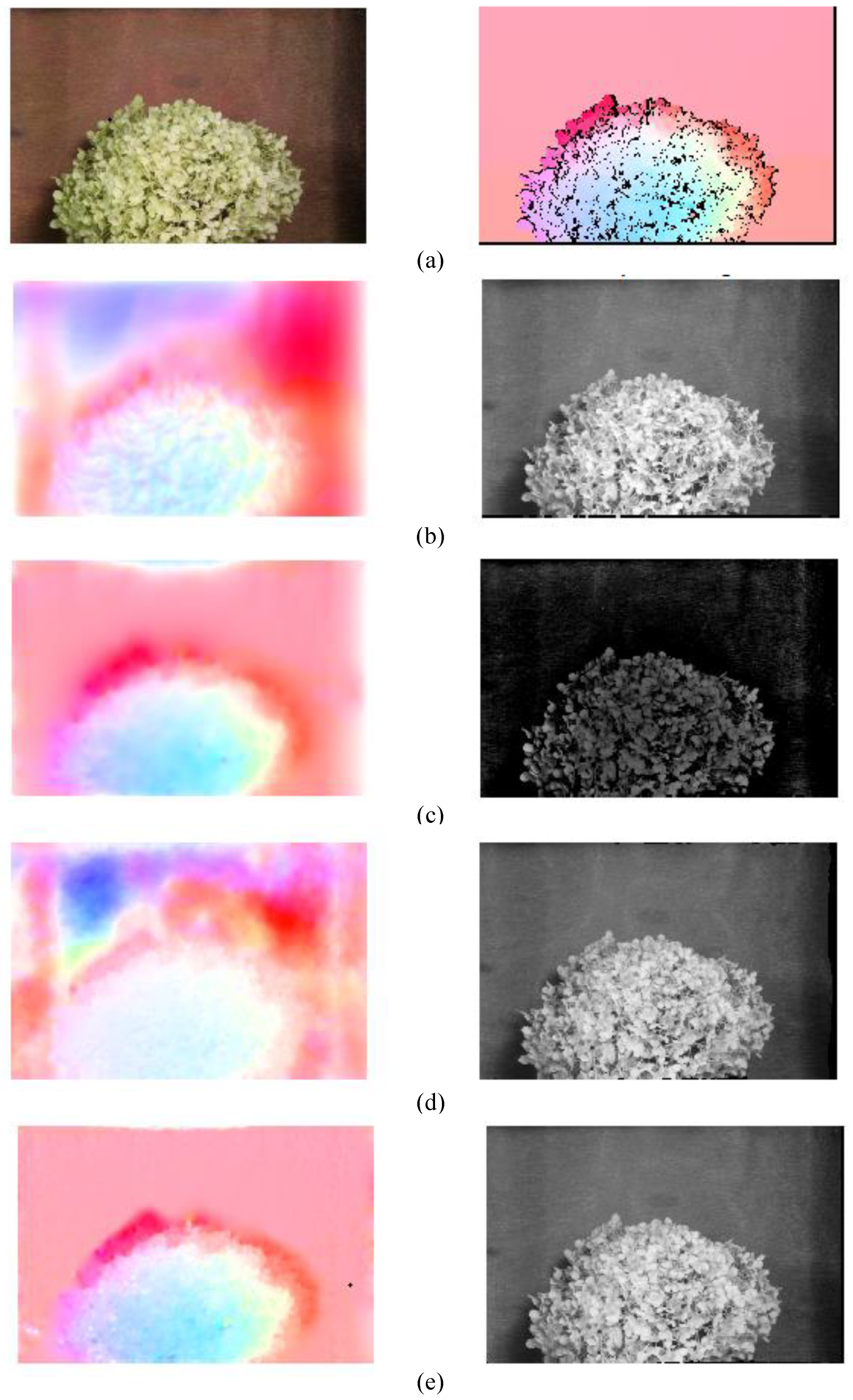 Sensors 21 03953 g005