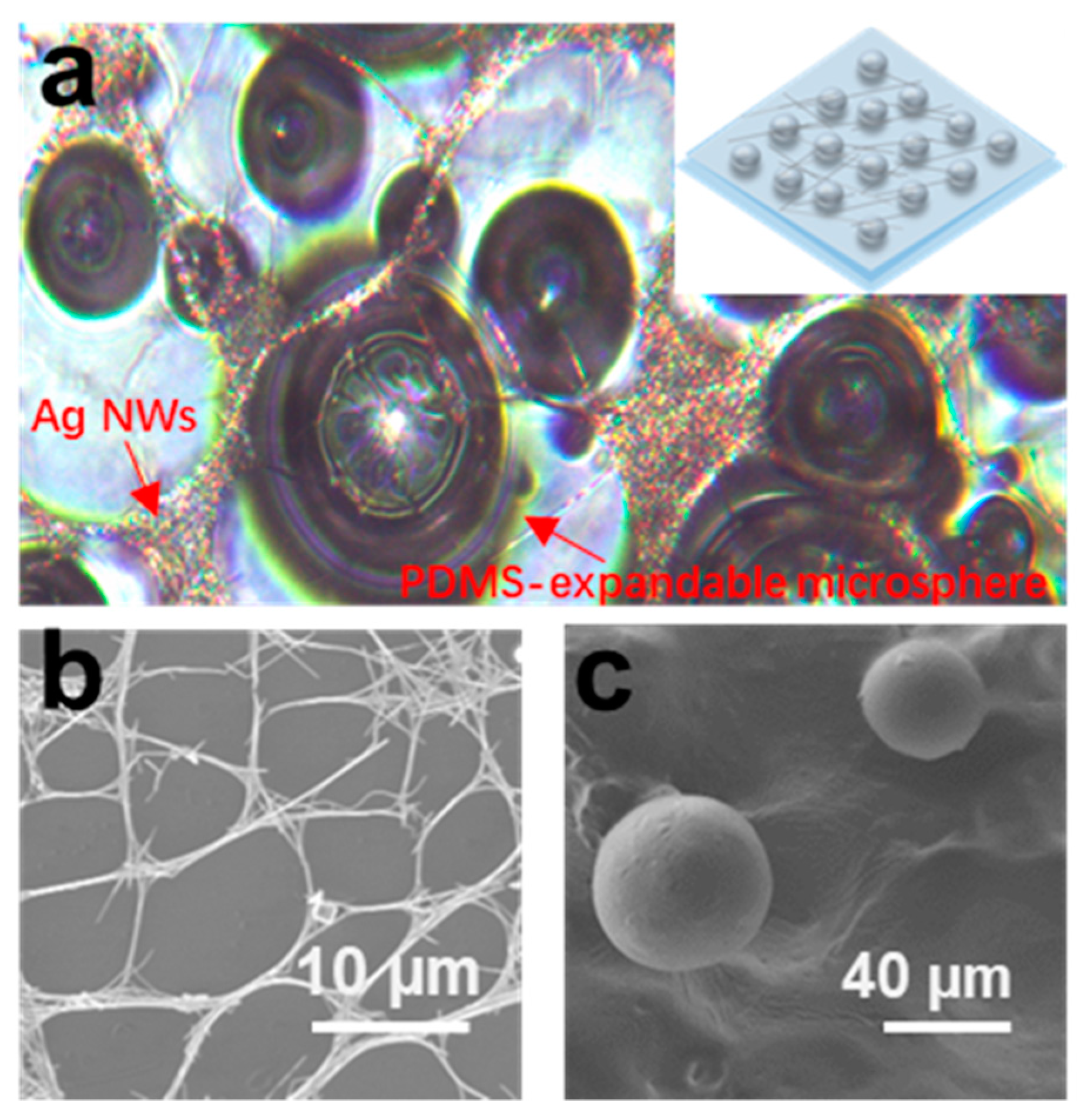 Sensors 21 03969 g010