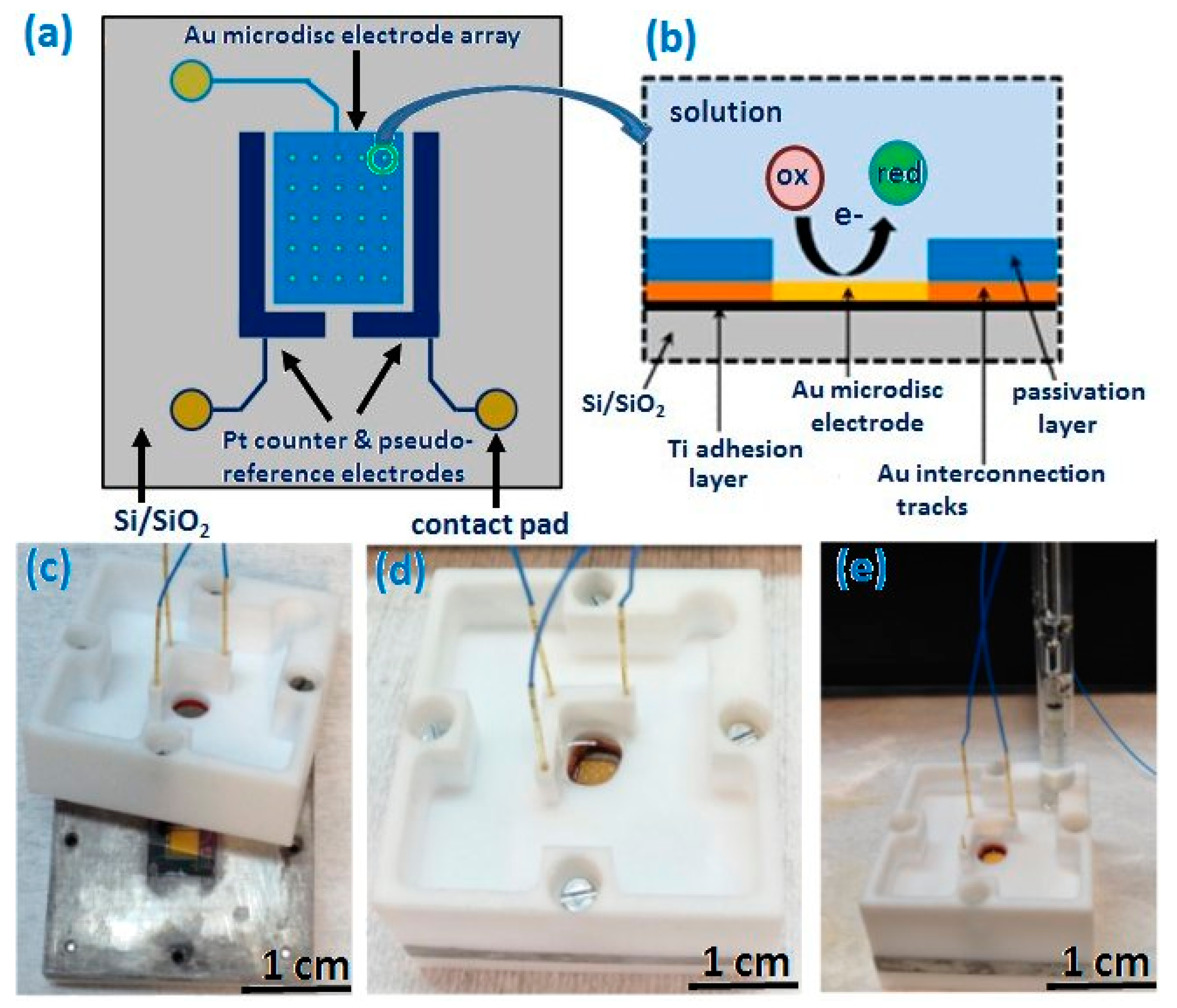 Sensors 21 03975 g001