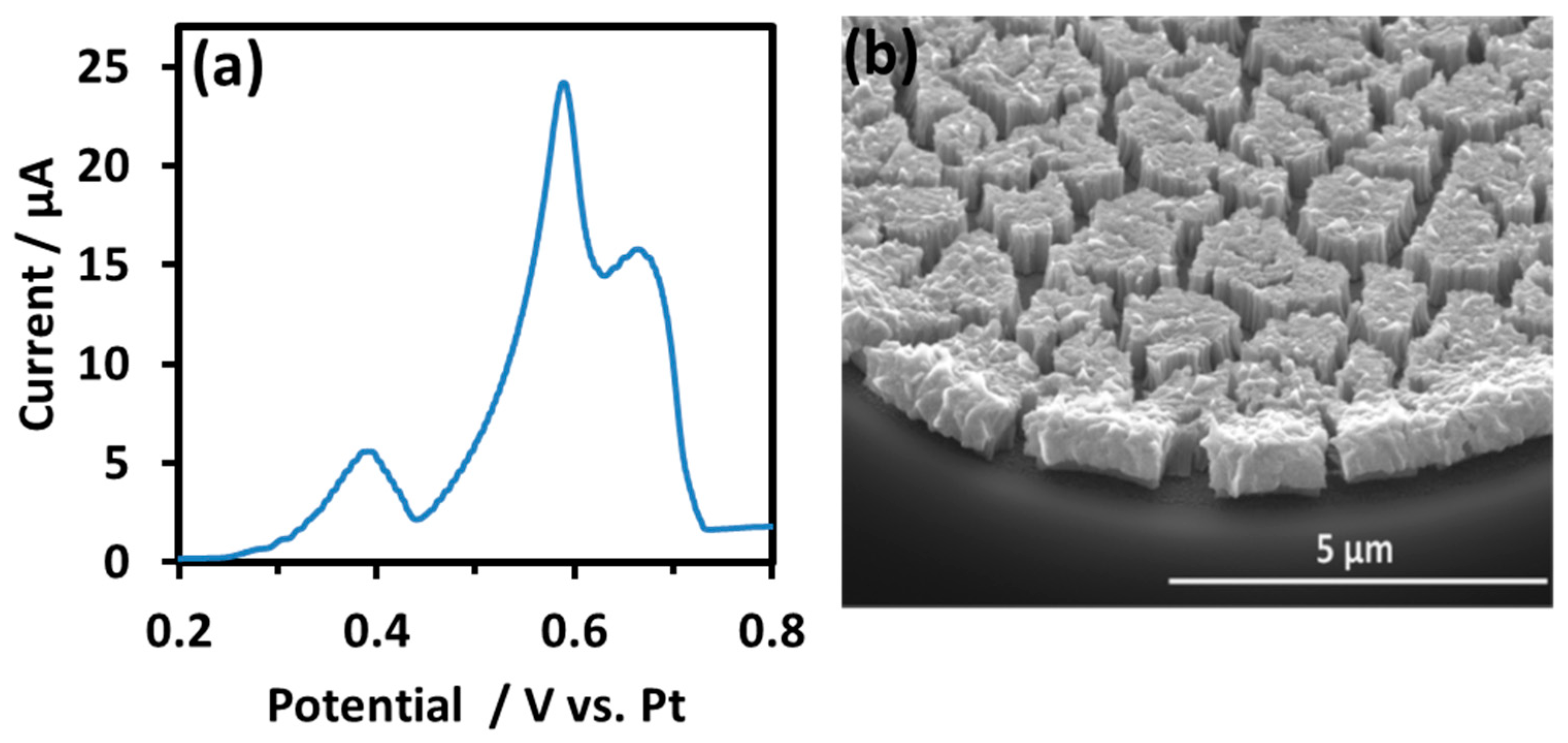 Sensors 21 03975 g006