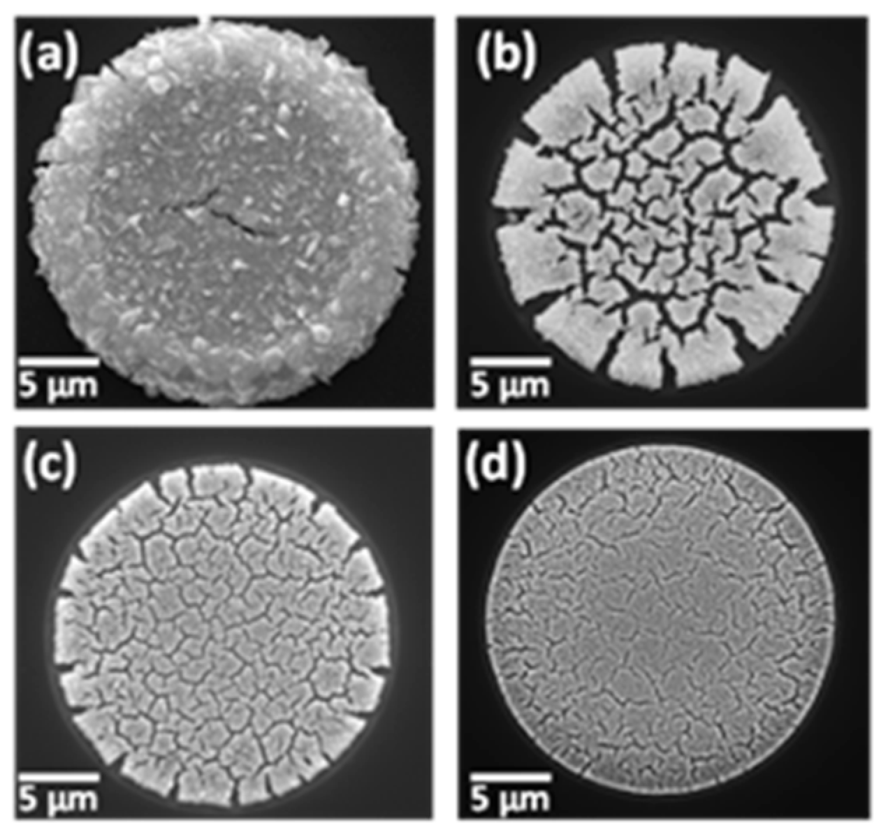 Sensors 21 03975 g010