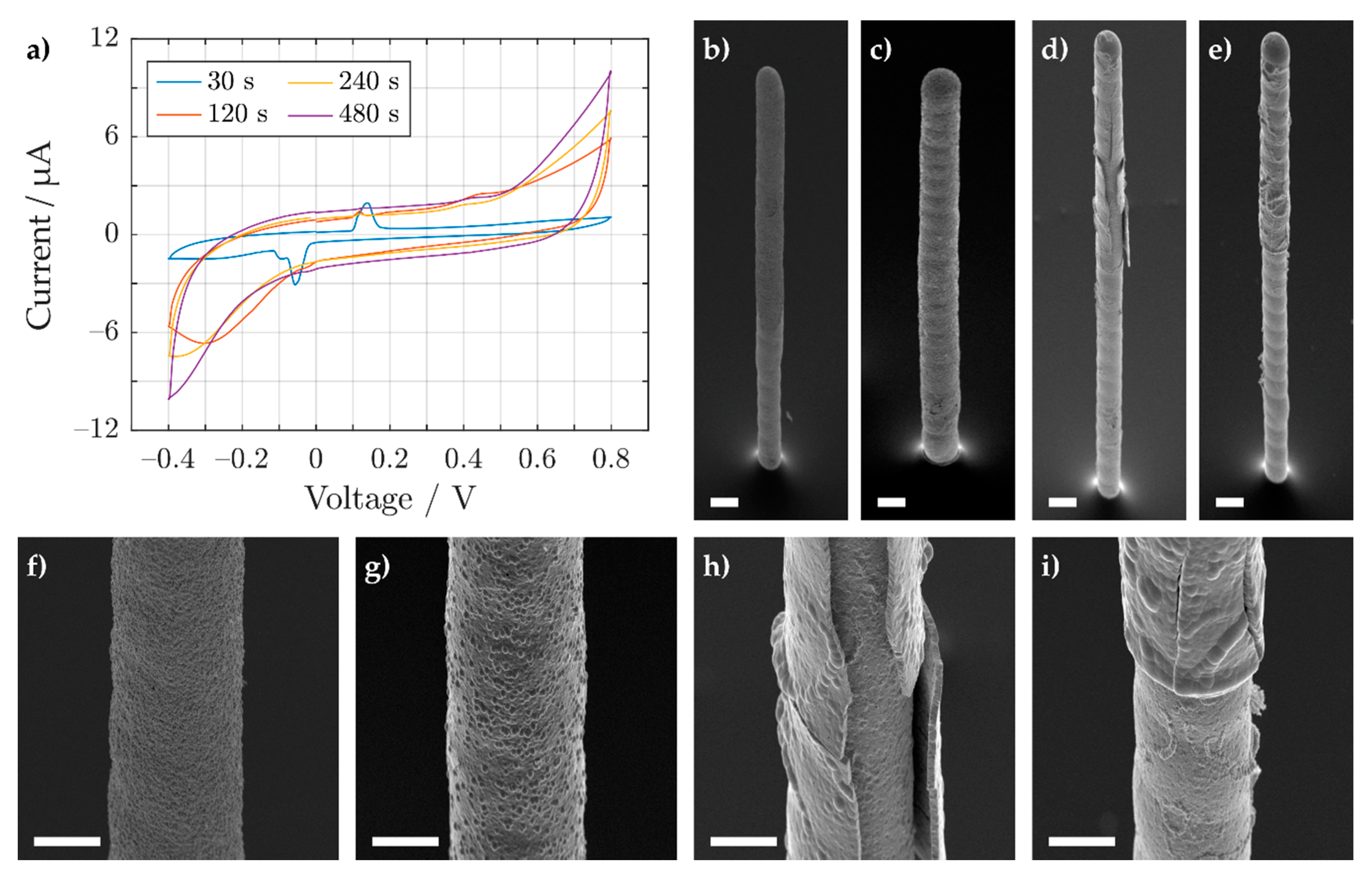 Sensors 21 03981 g007