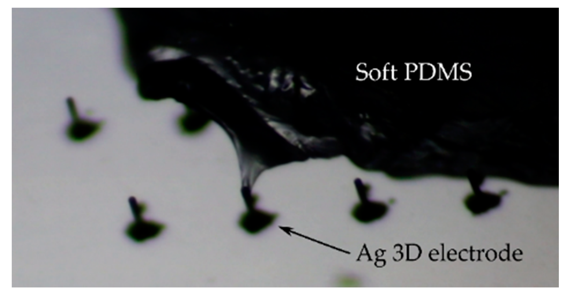 Sensors 21 03981 g010