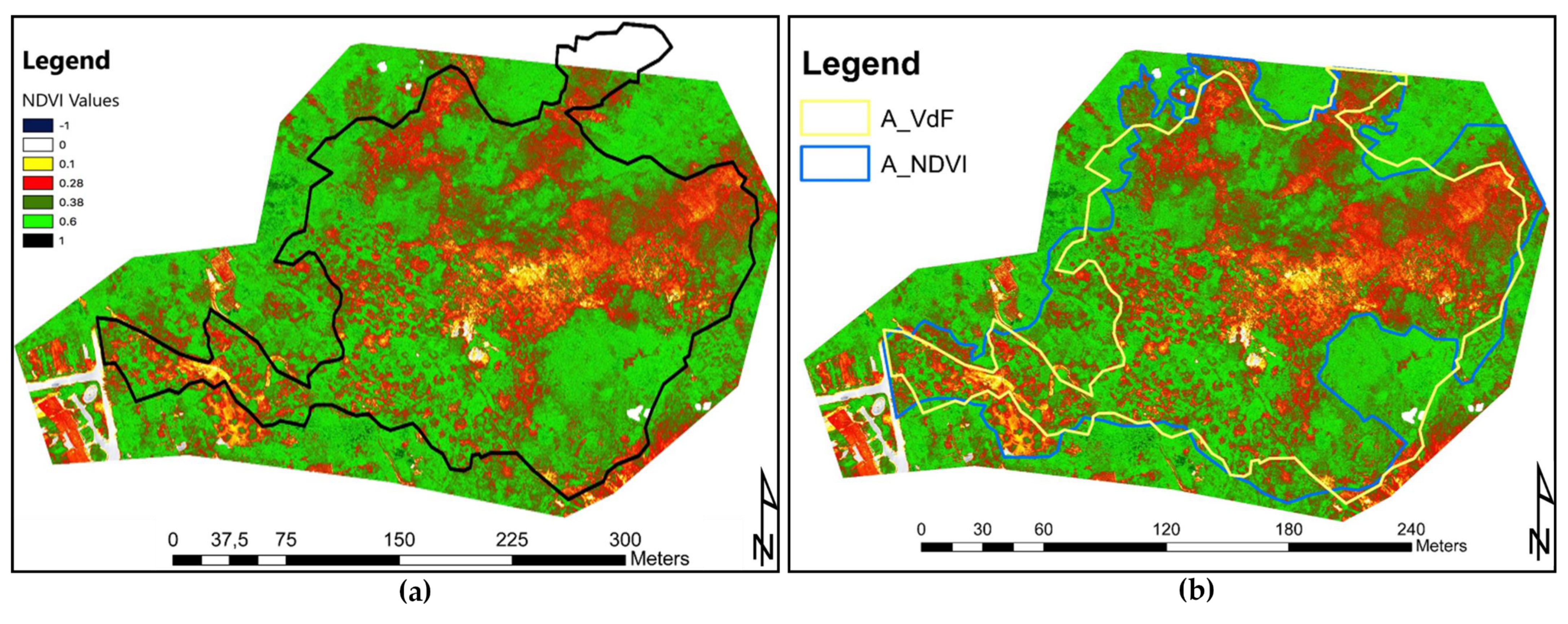 Sensors 21 03982 g016