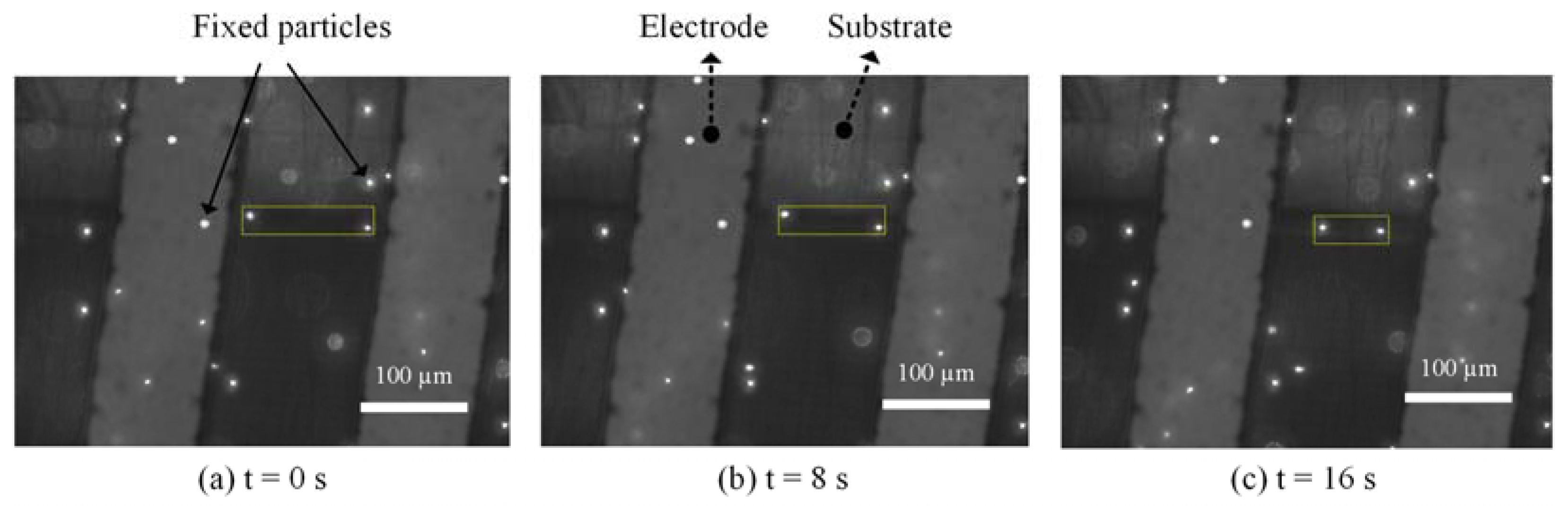 Sensors 21 03985 g005