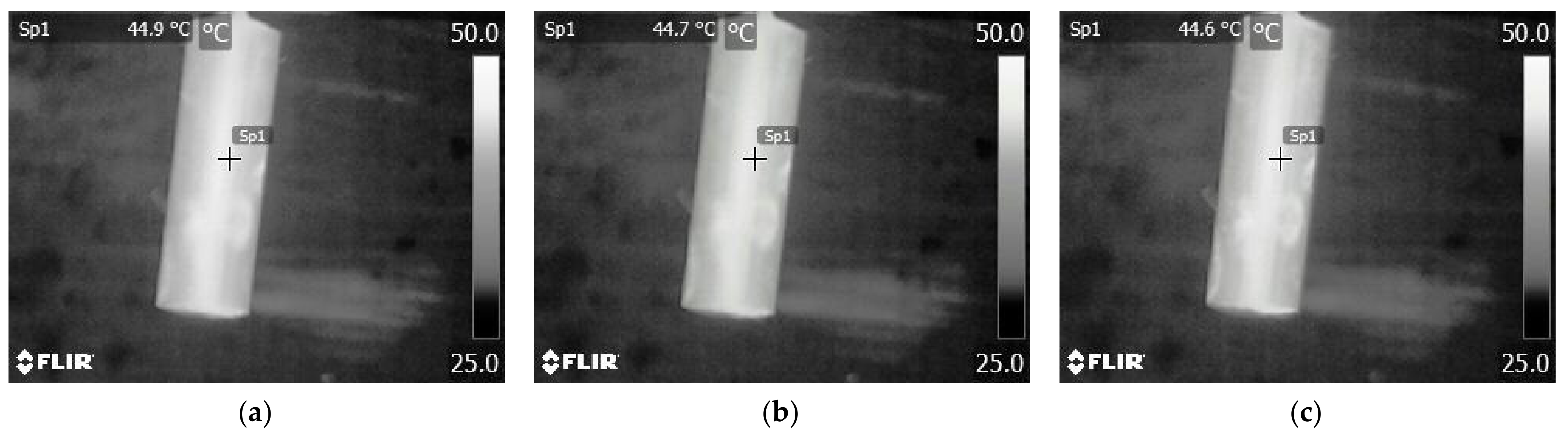 Sensors 21 04013 g001