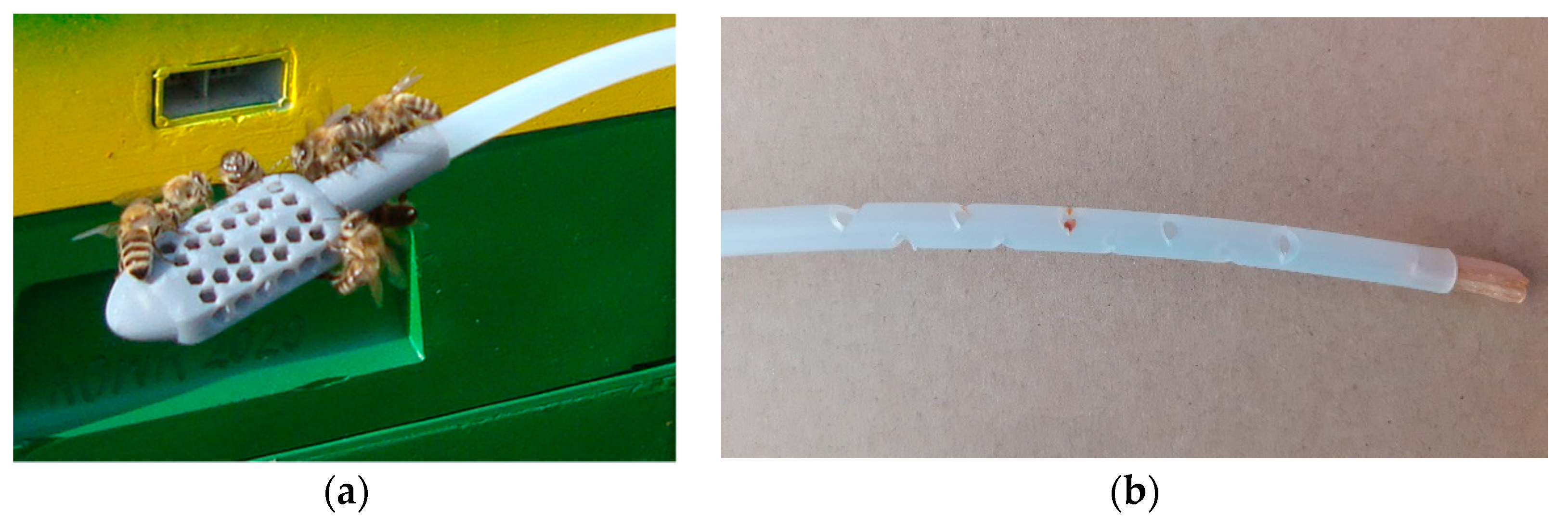 Sensors 21 04019 g007