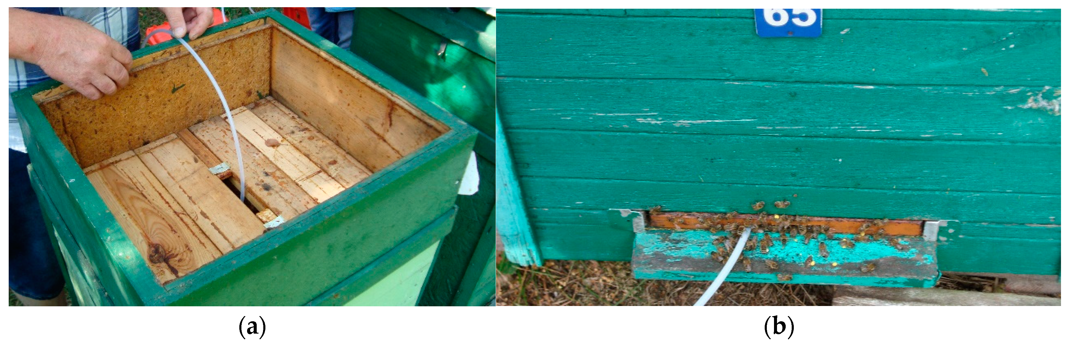 Sensors 21 04019 g008