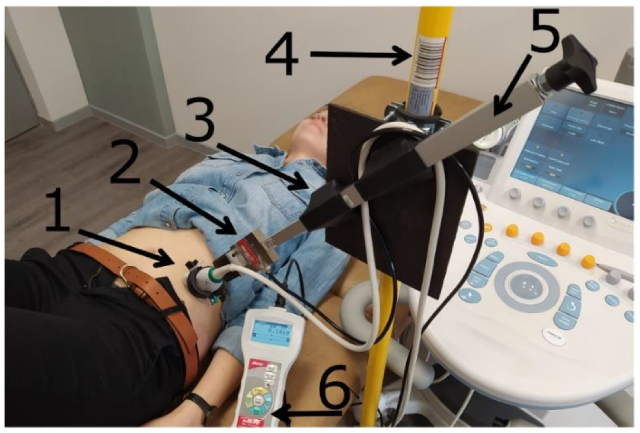 Sensors 21 04036 g001