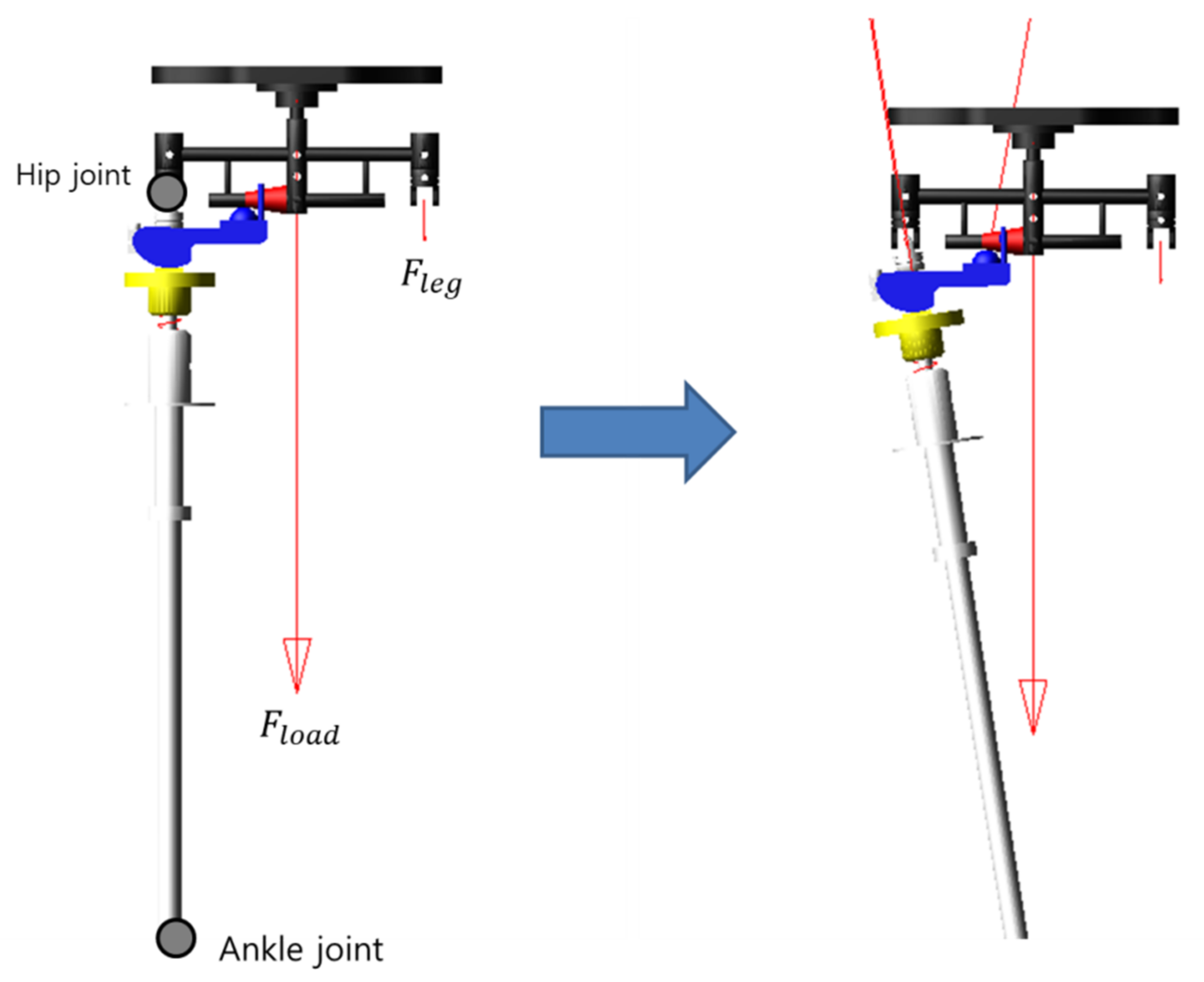 Sensors 21 04037 g005 Sensors 21 04037 g005