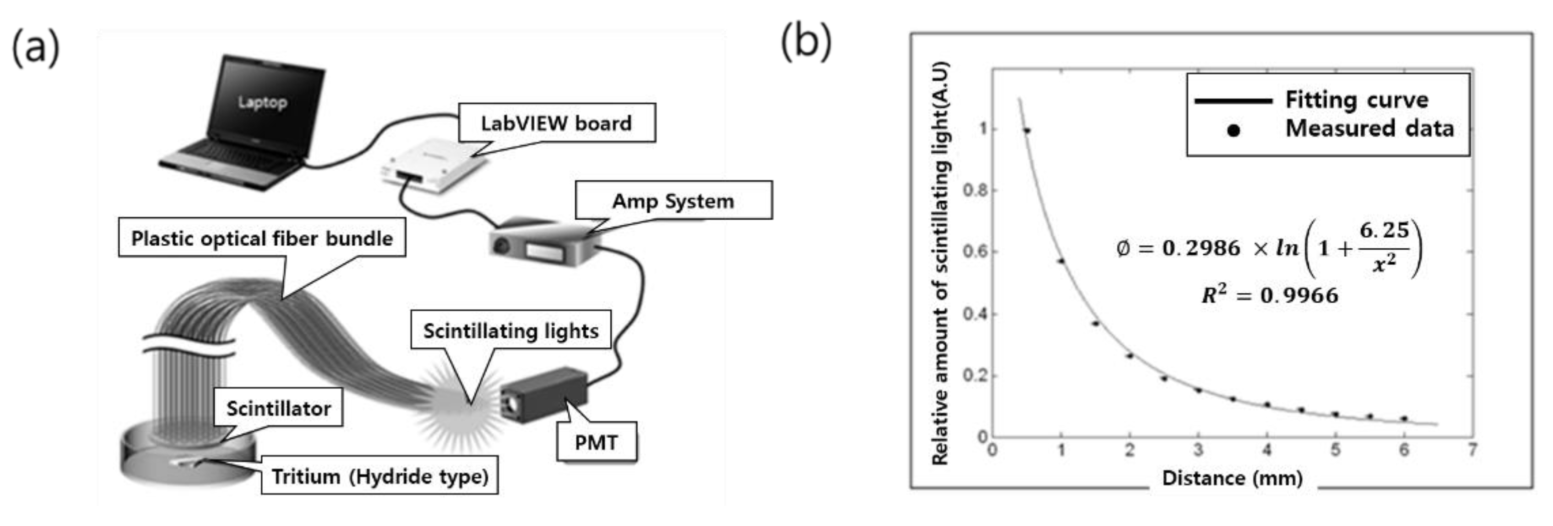 Sensors 21 04047 g004 Sensors 21 04047 g004
