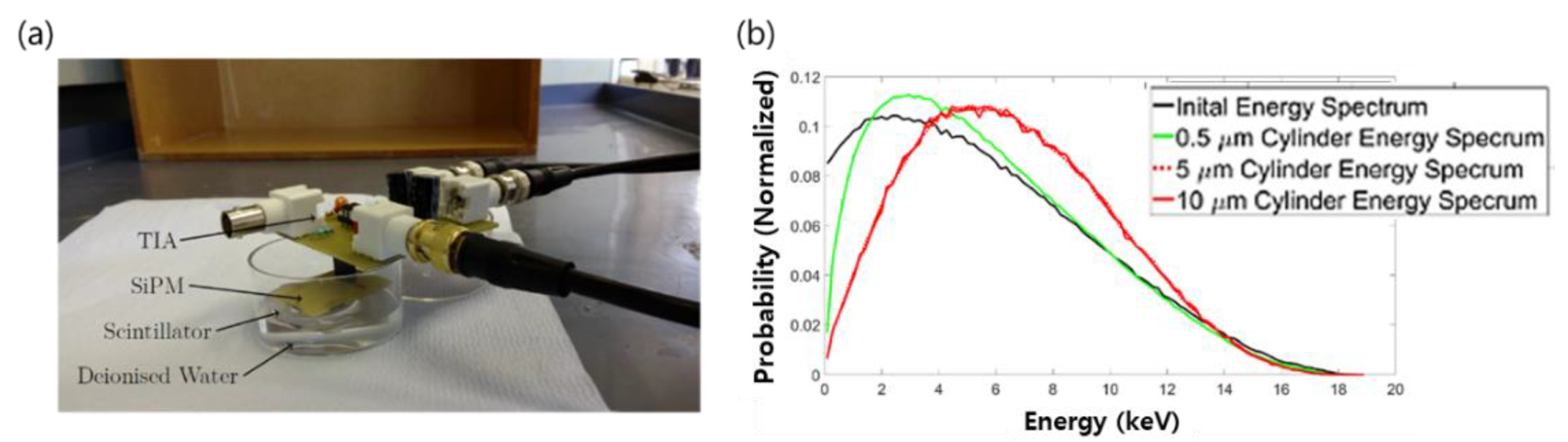 Sensors 21 04047 g007 Sensors 21 04047 g007