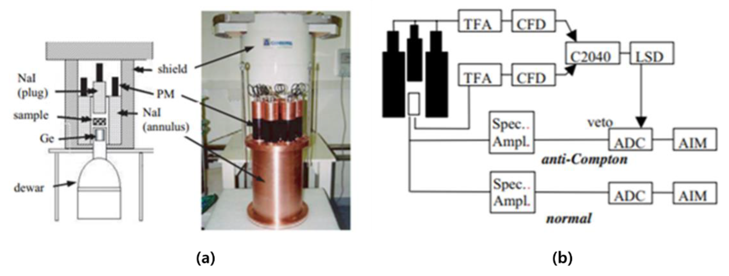 Sensors 21 04047 g010 Sensors 21 04047 g010
