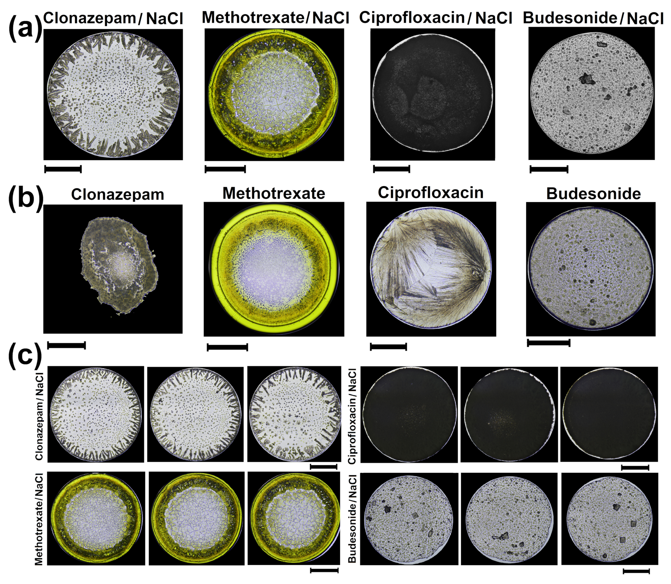 Sensors 21 04048 g001
