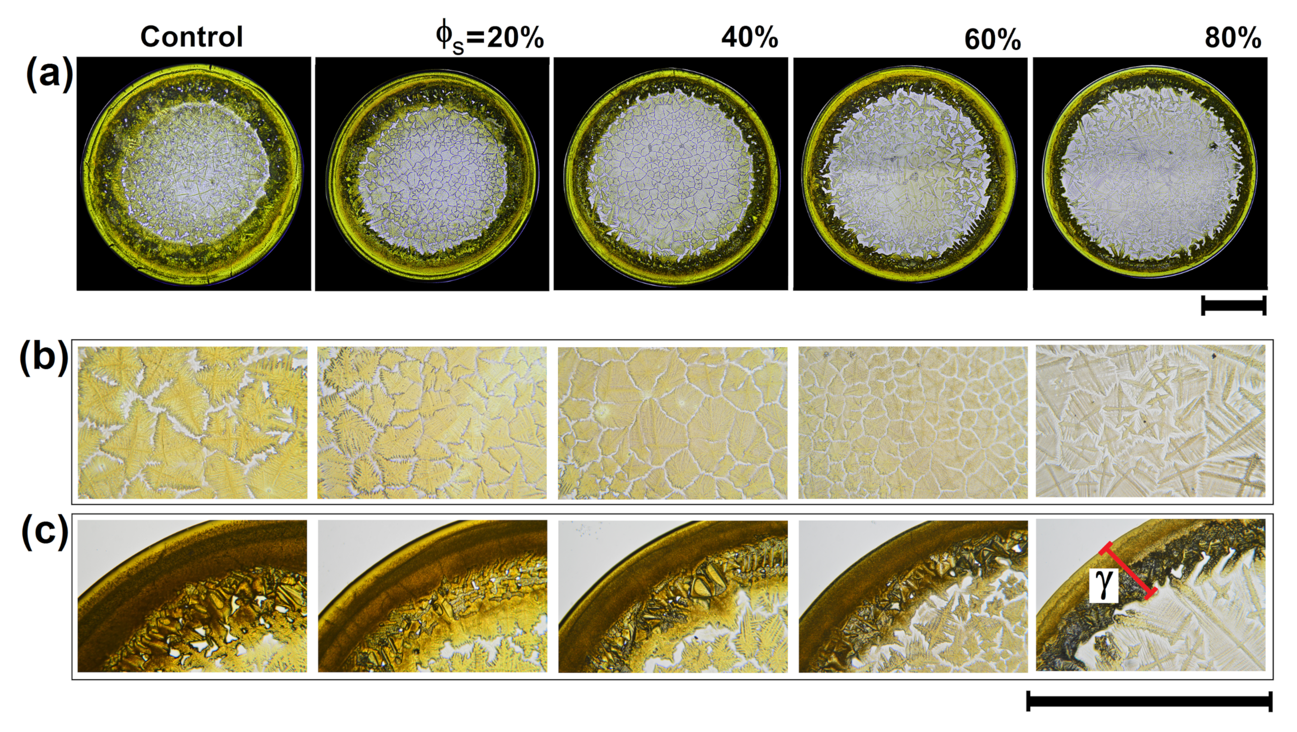 Sensors 21 04048 g002