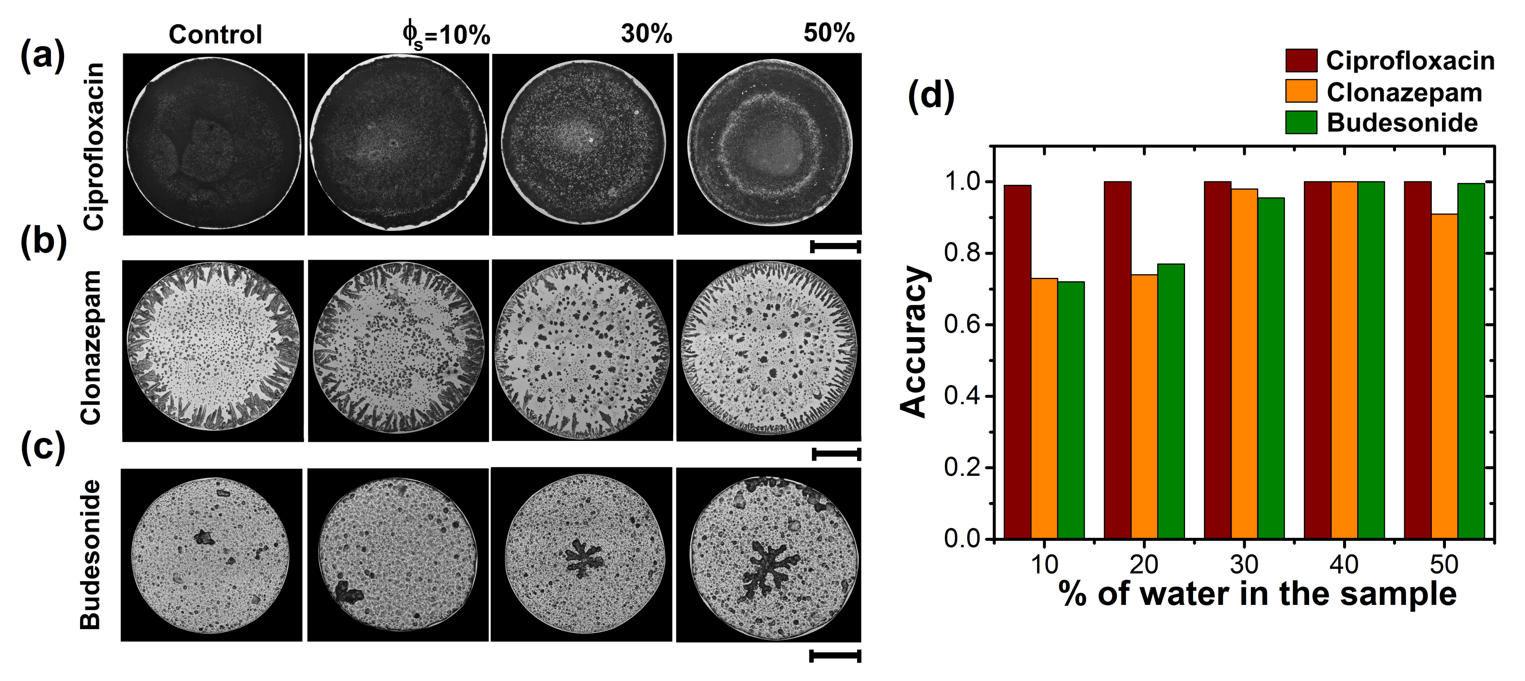 Sensors 21 04048 g005