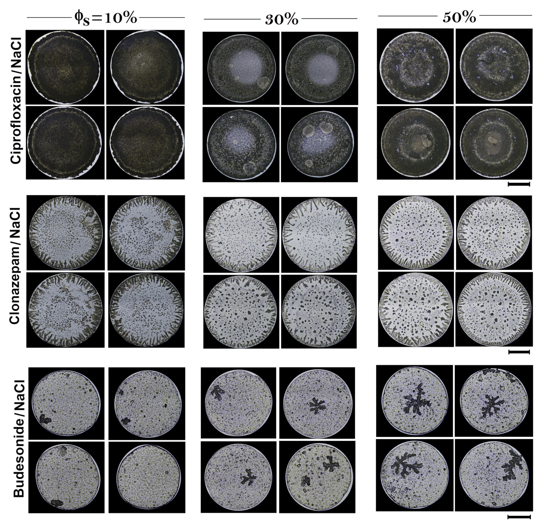 Sensors 21 04048 g006