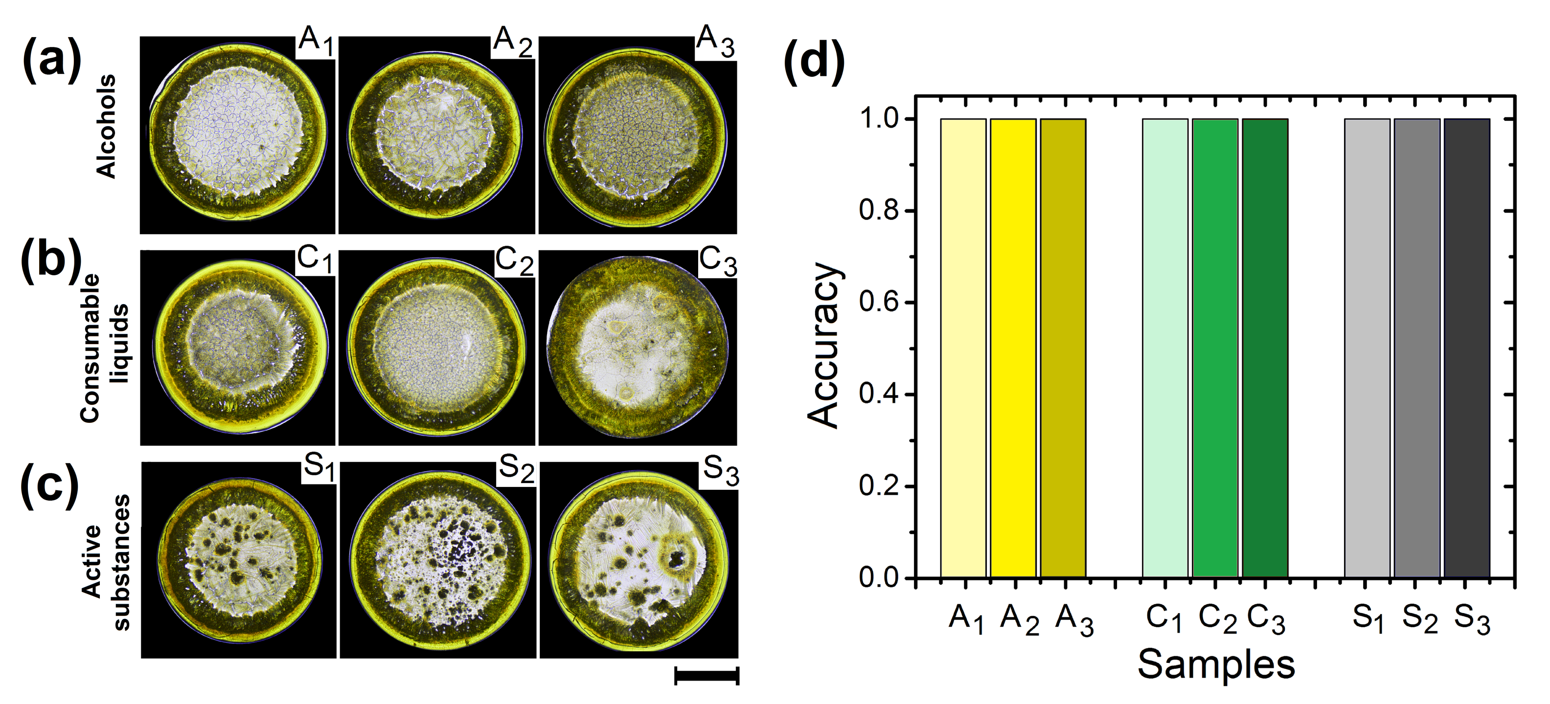 Sensors 21 04048 g007