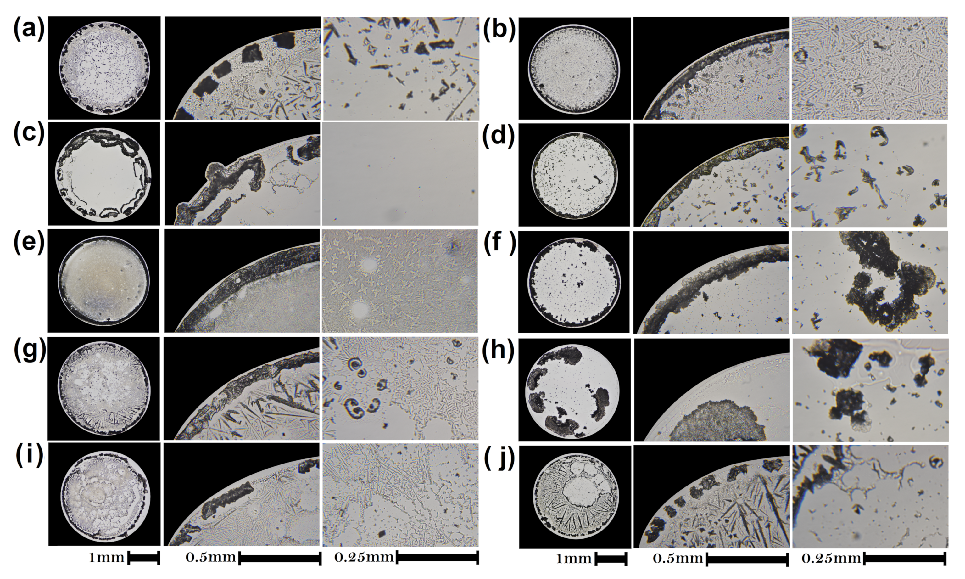 Sensors 21 04048 g008