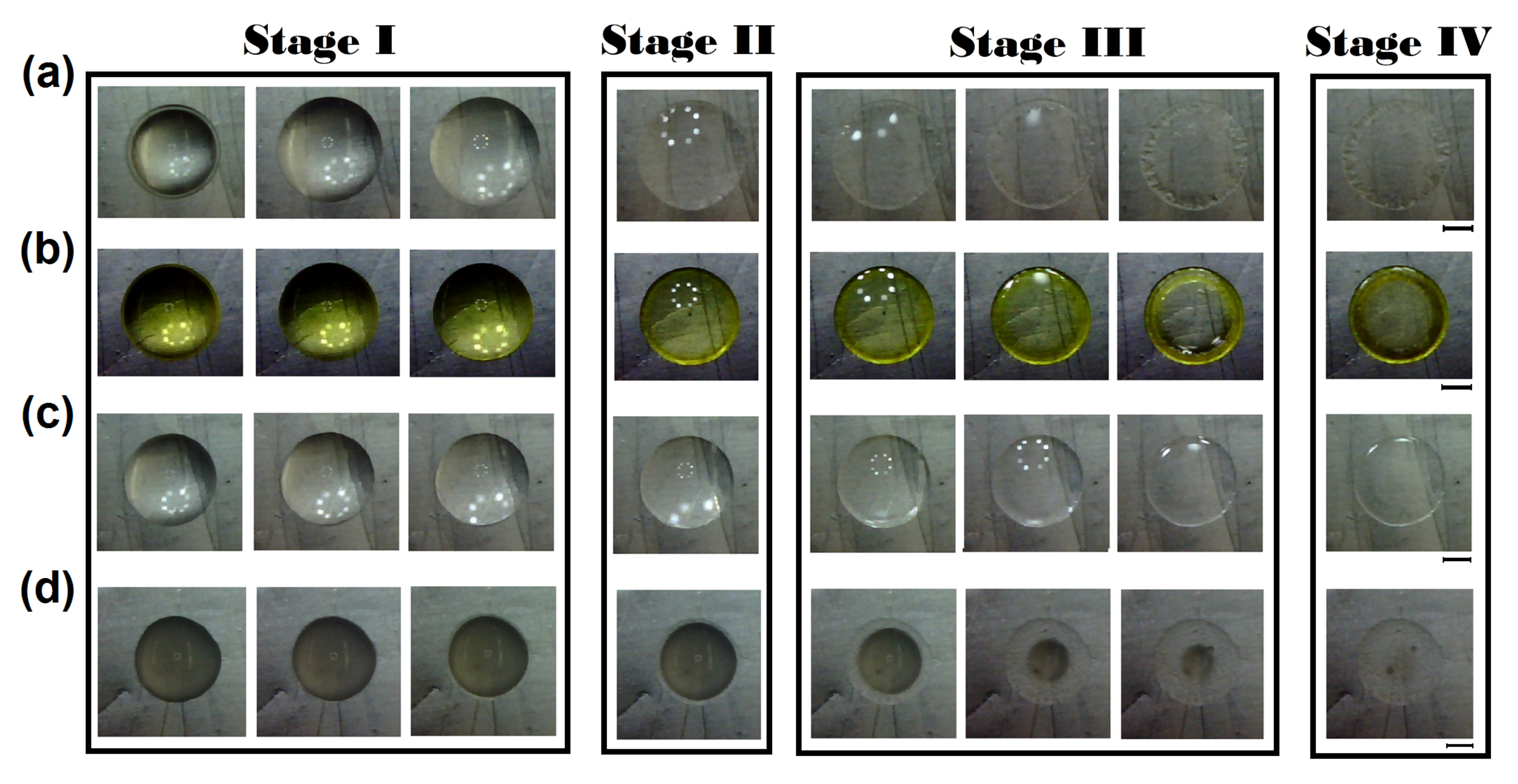 Sensors 21 04048 g009