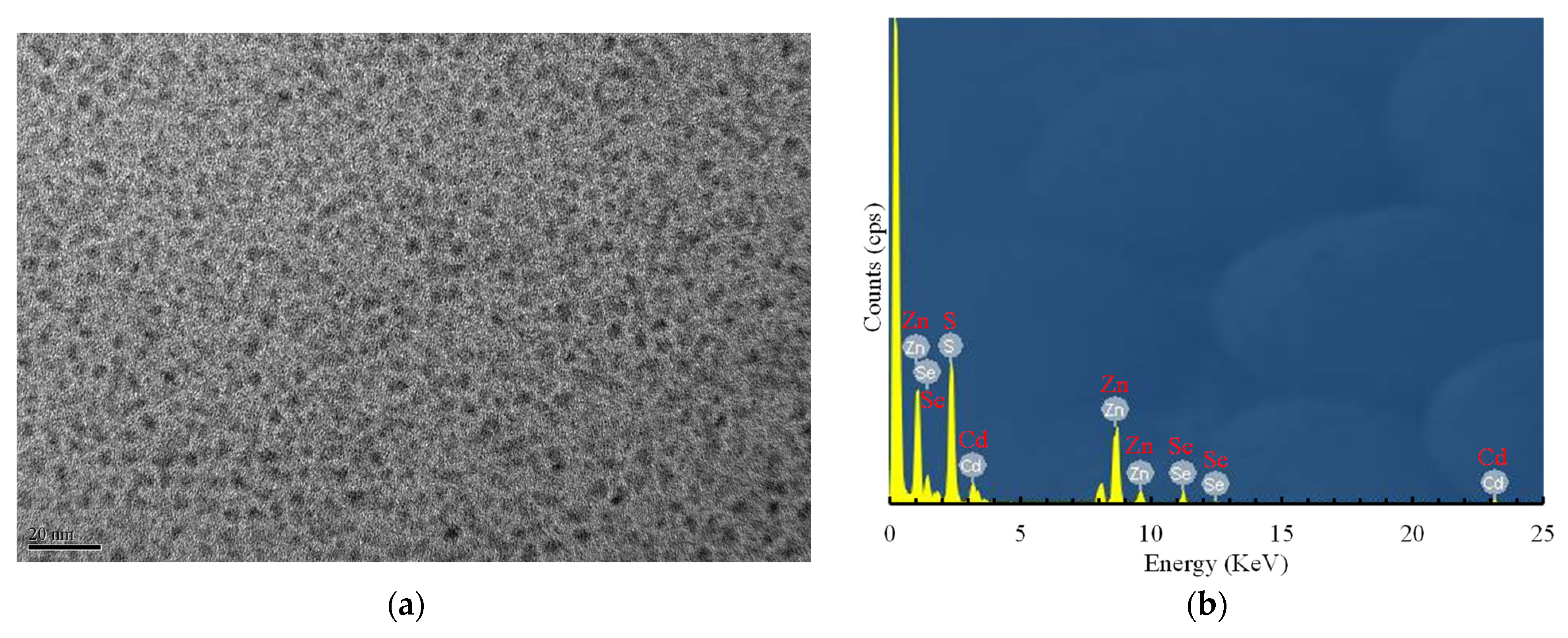 Sensors 21 04057 g001